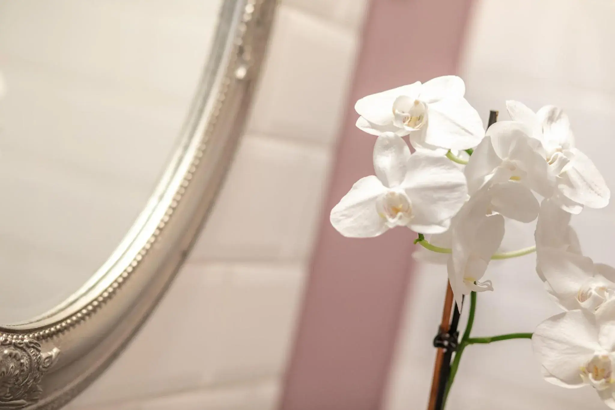 Double Room in Tarnóca Kúria Double Room in Tarnóca Kúria