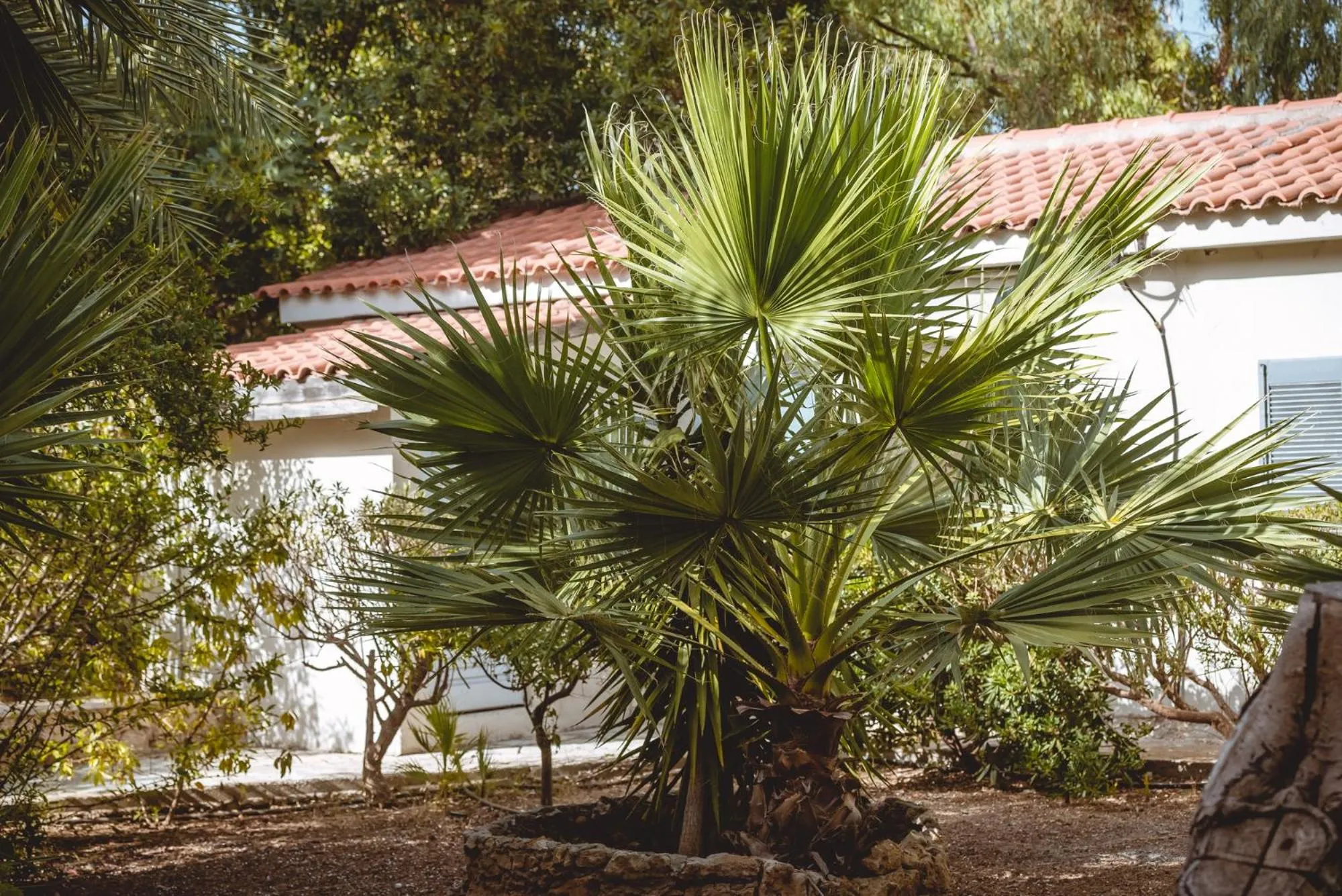 Garden in Iphigenia Mythic Retreat