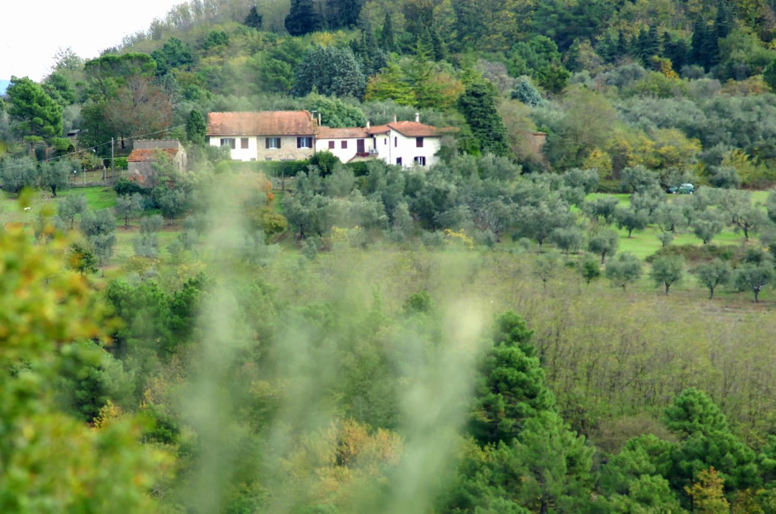 View (from property/room) in il Podere La Casina
