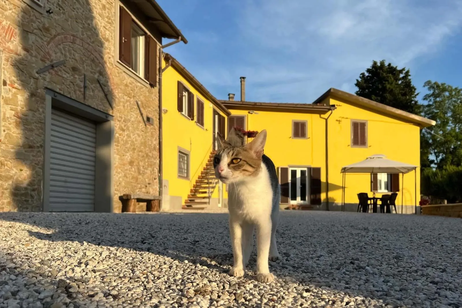 Property building in il Podere La Casina