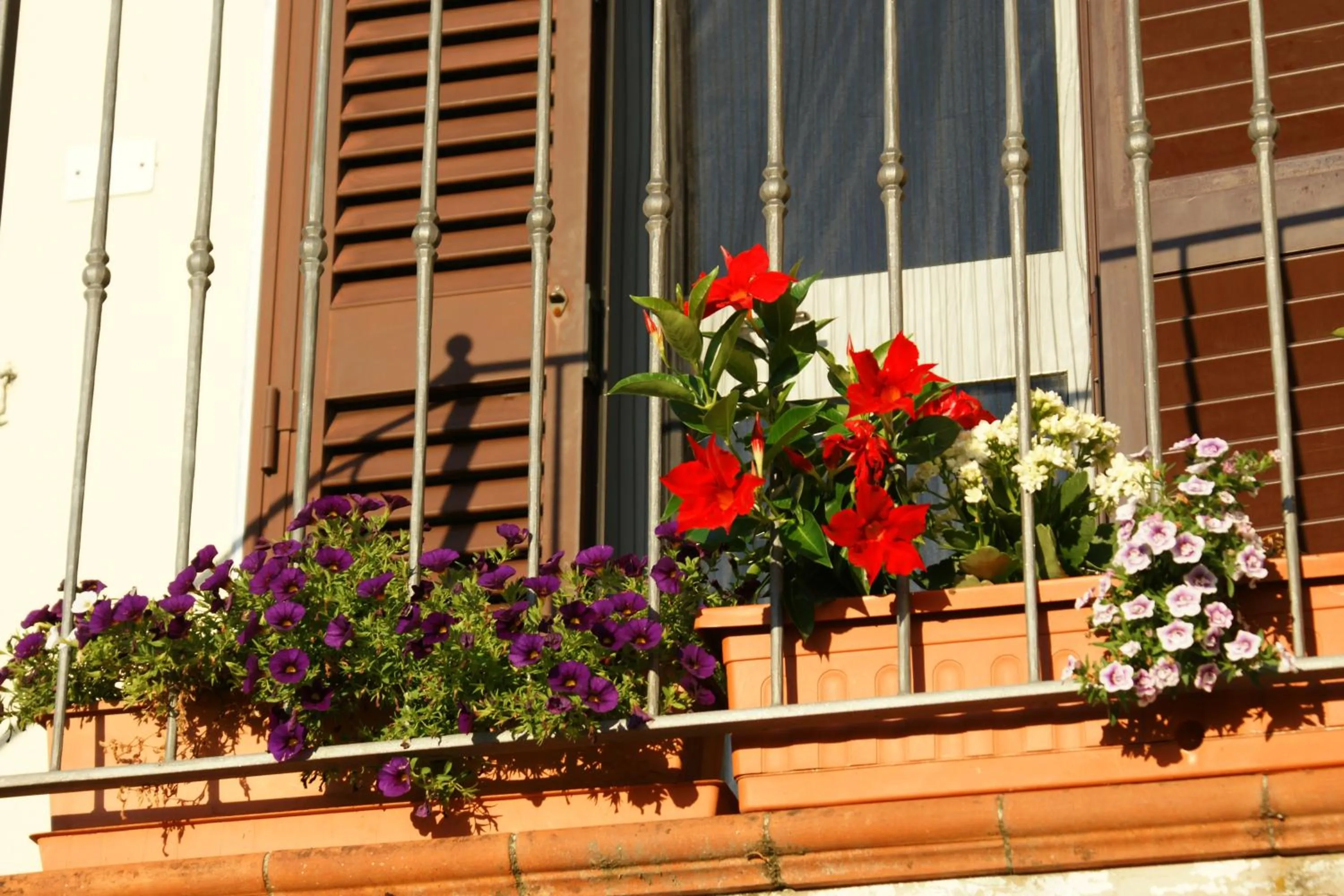 Property building in il Podere La Casina