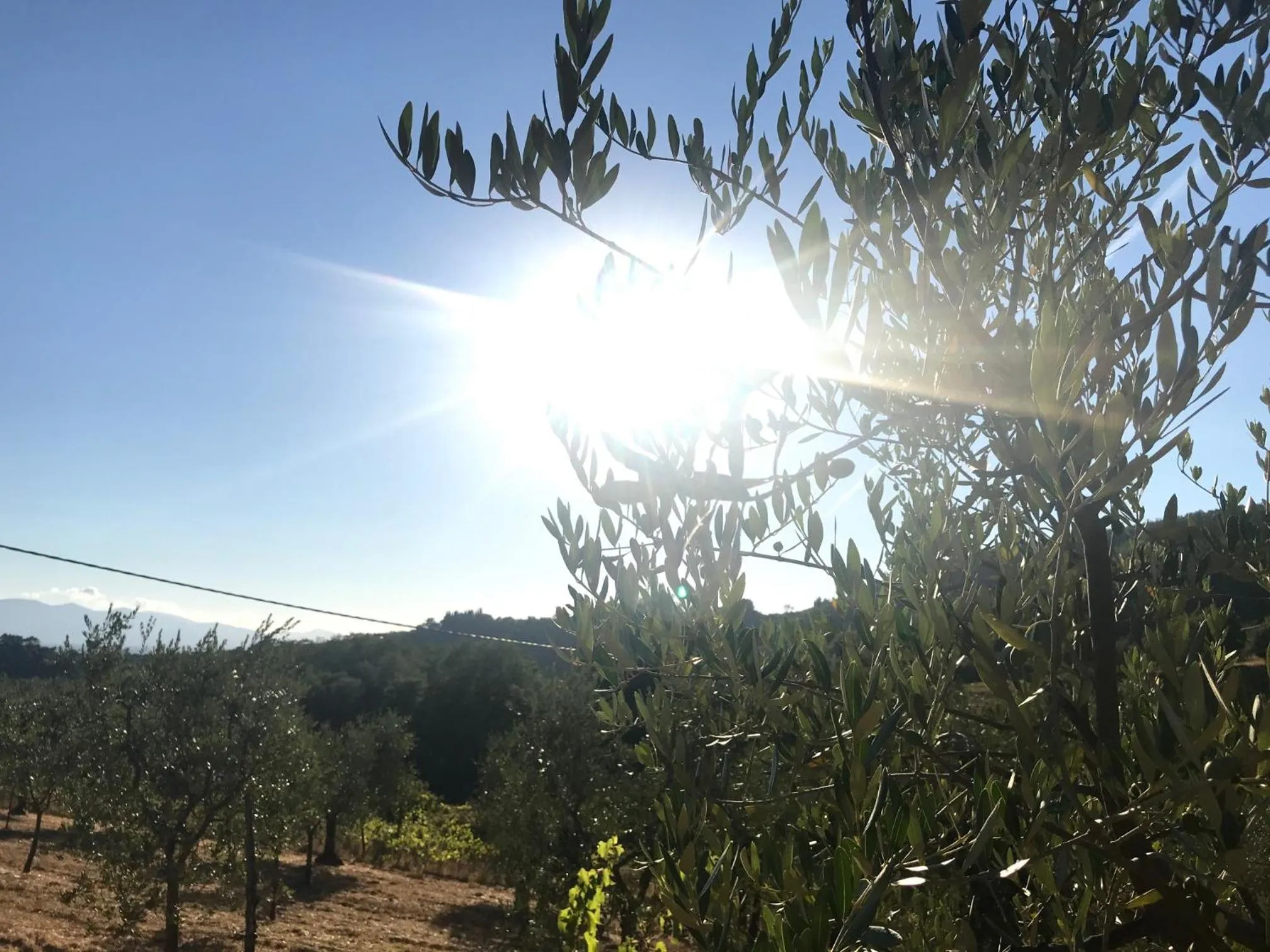 View (from property/room) in il Podere La Casina