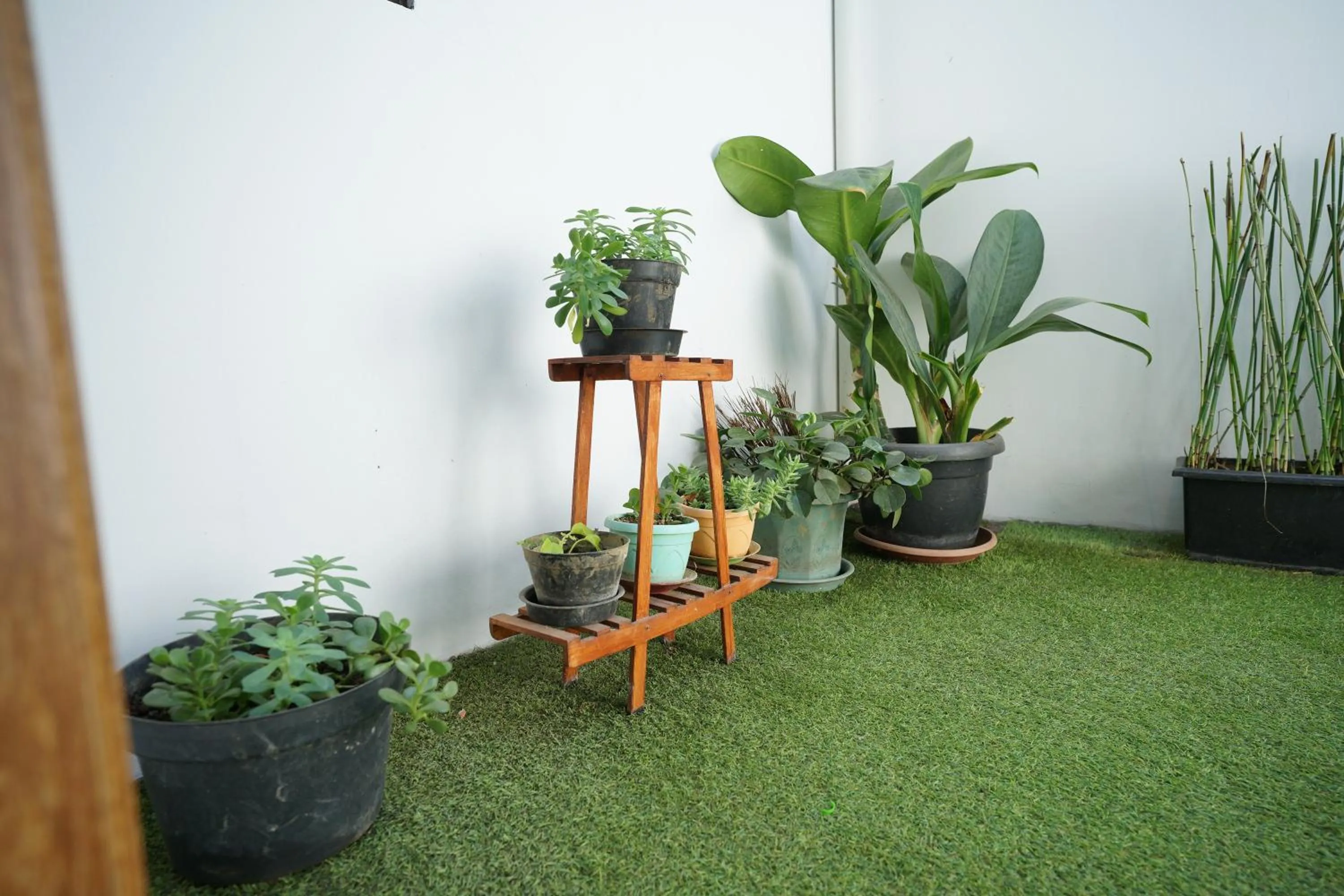 Garden in Citere Resort Hotel