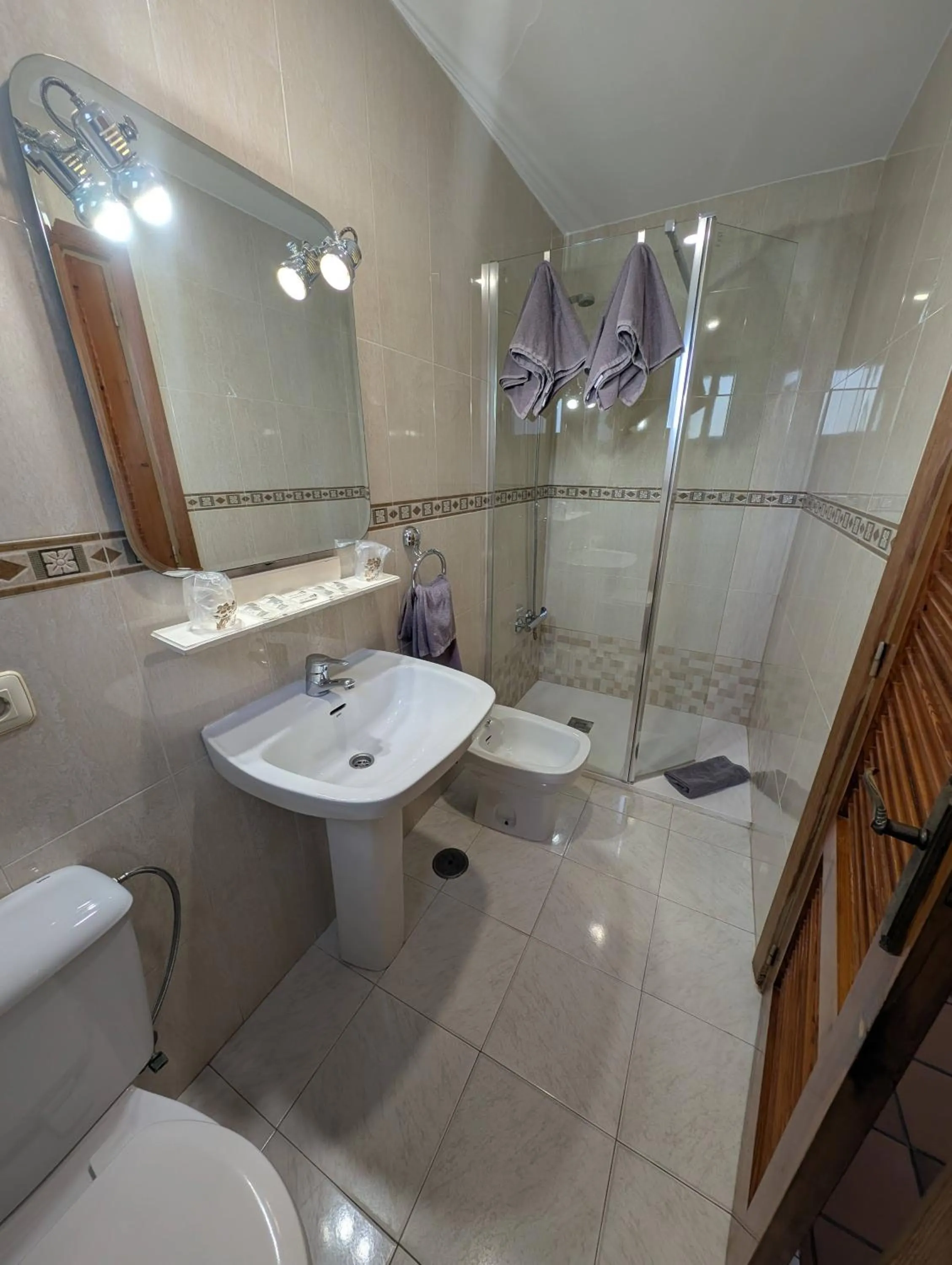 Toilet in Hotel Santa María