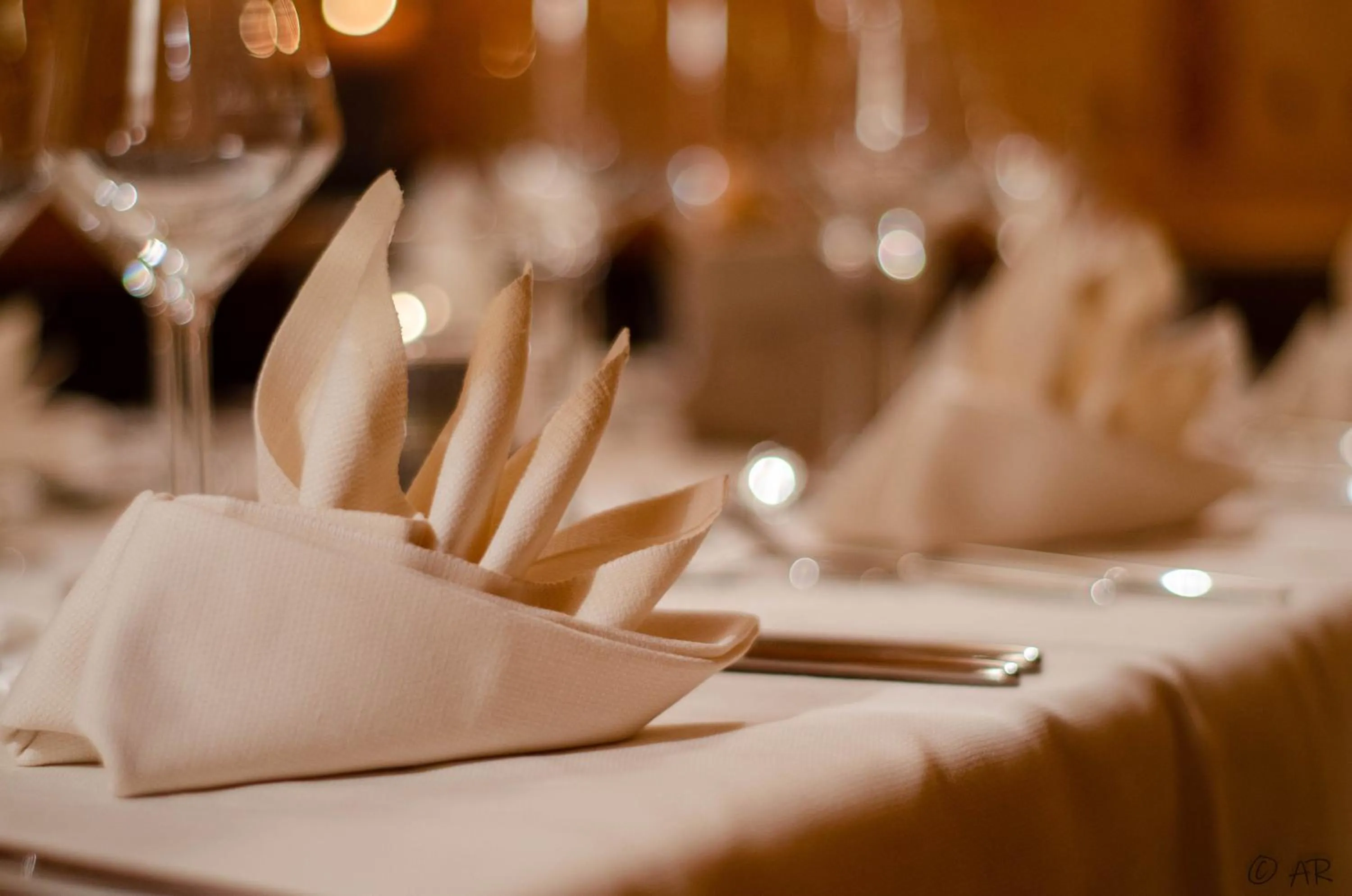 Restaurant/places to eat in Hotel Fines