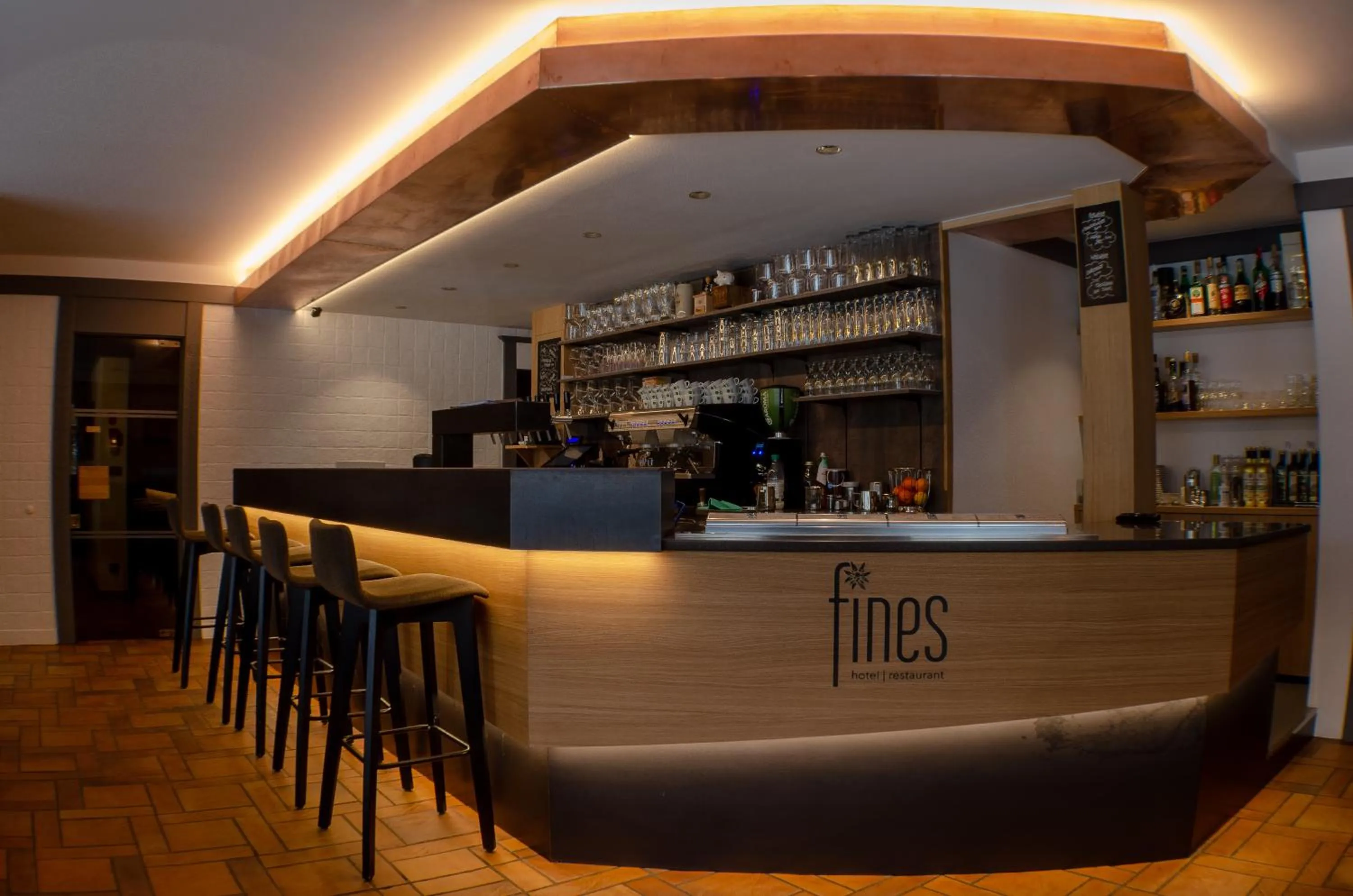 Lounge or bar in Hotel Fines