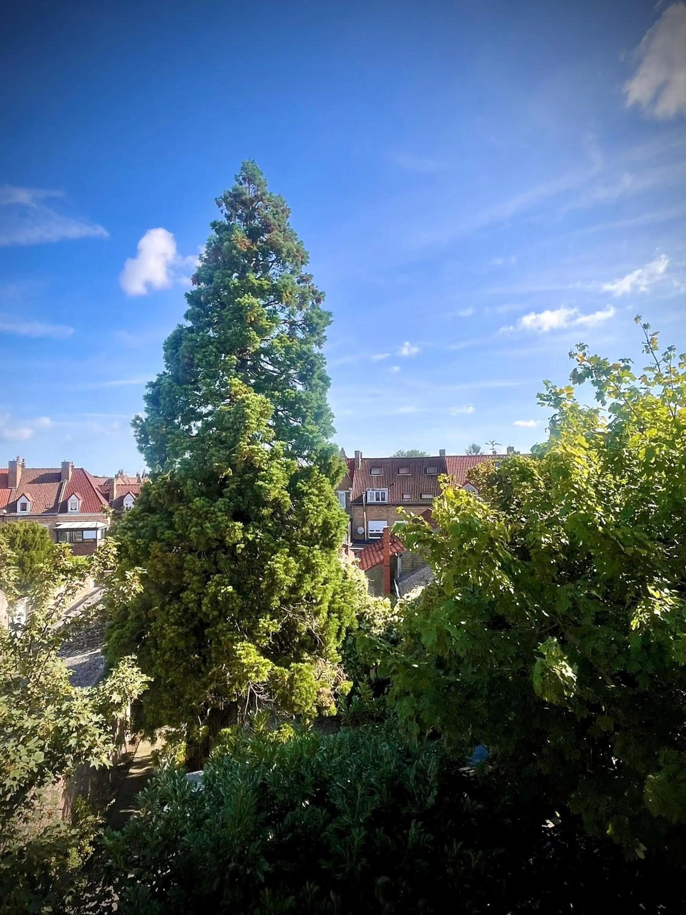 Garden view in Hôtel - Restaurant Au Tonnelier