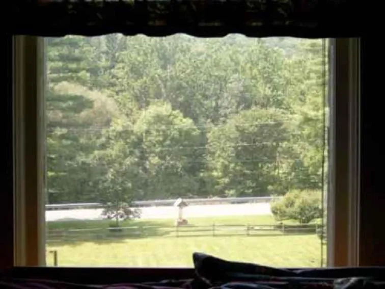 Natural landscape in Brookview Manor Inn