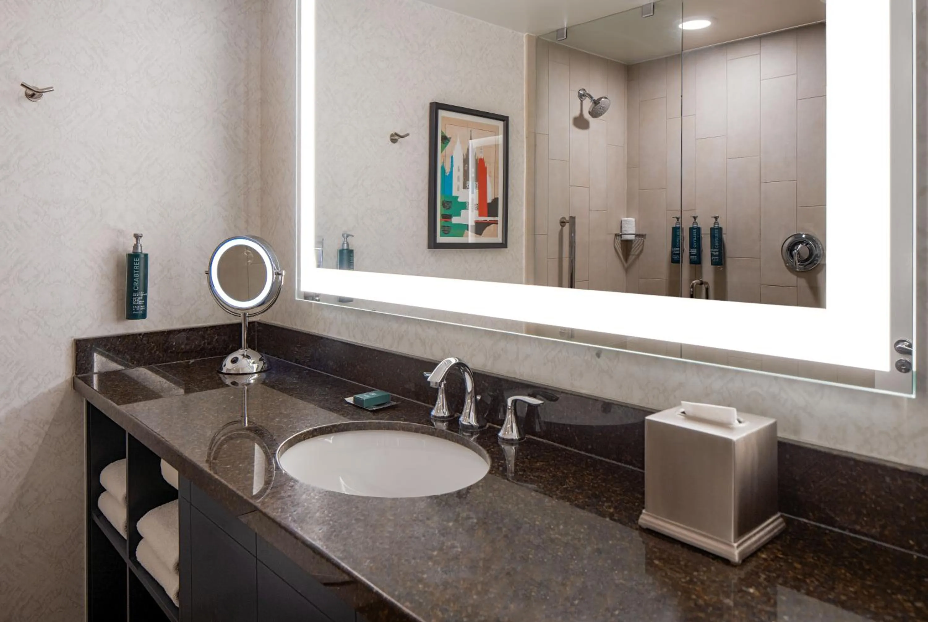 Shower in Doubletree Suites by Hilton Salt Lake City