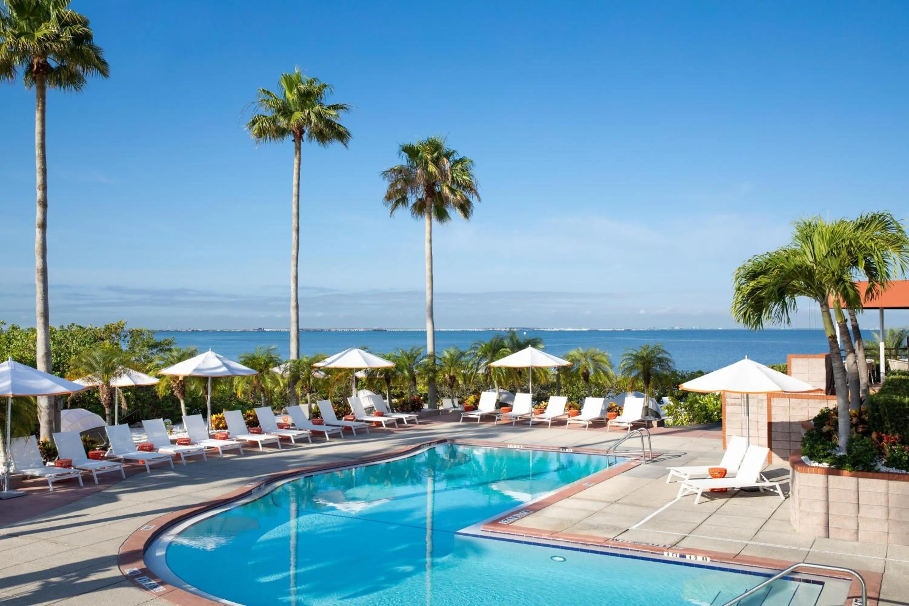 Swimming pool in Grand Hyatt Tampa Bay