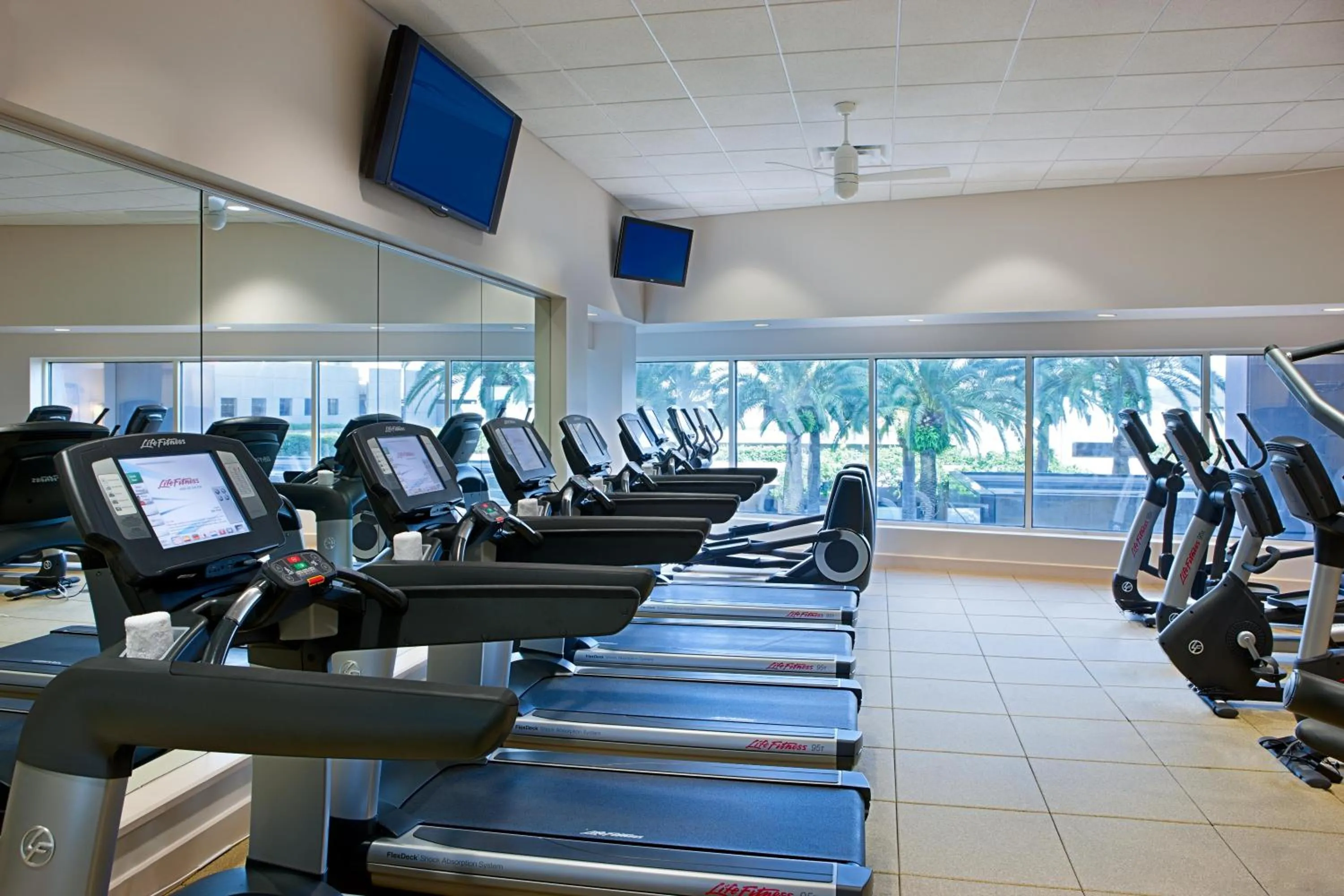 Fitness centre/facilities in Grand Hyatt Tampa Bay