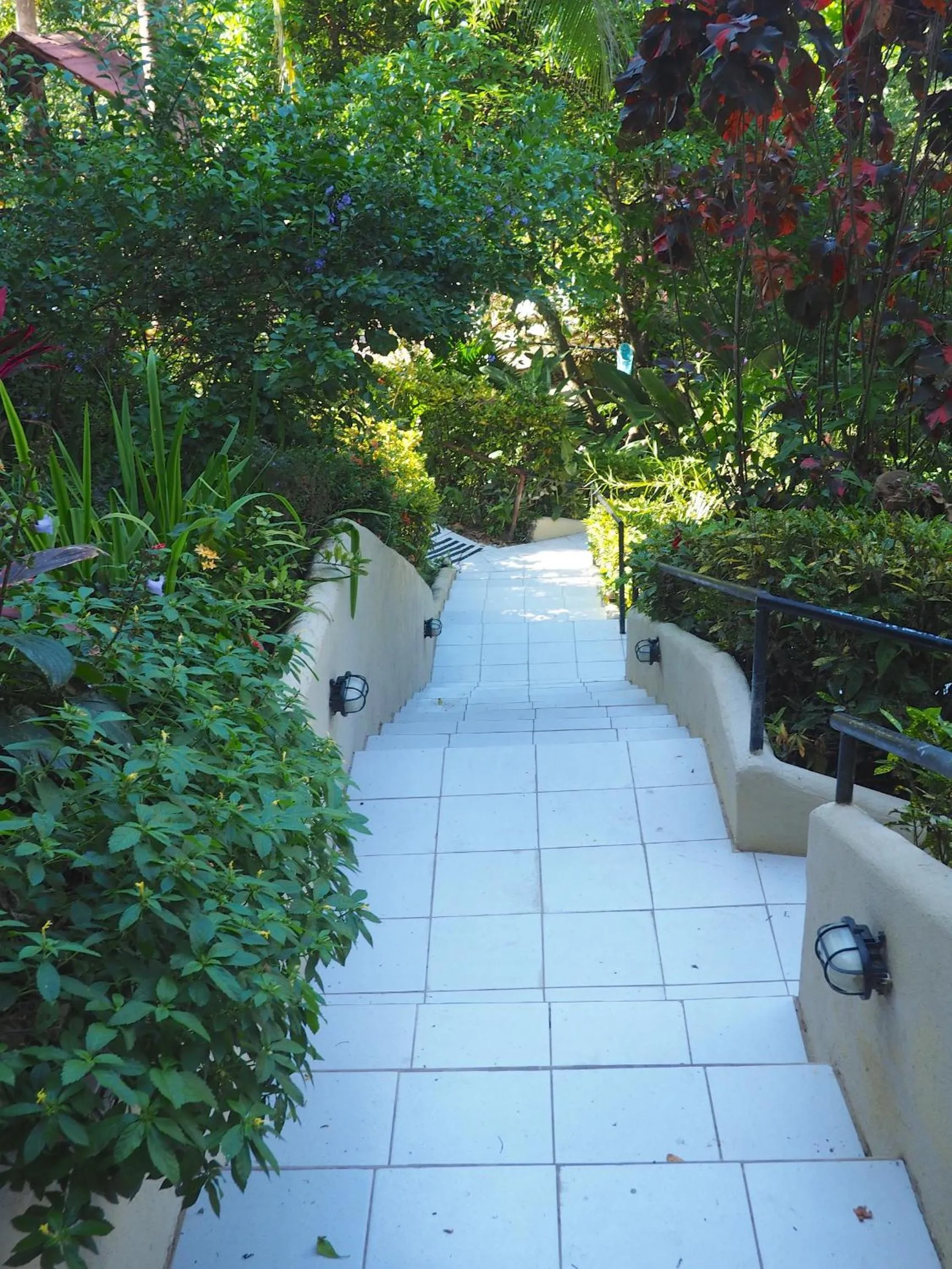 Garden view in Hotel La Colina
