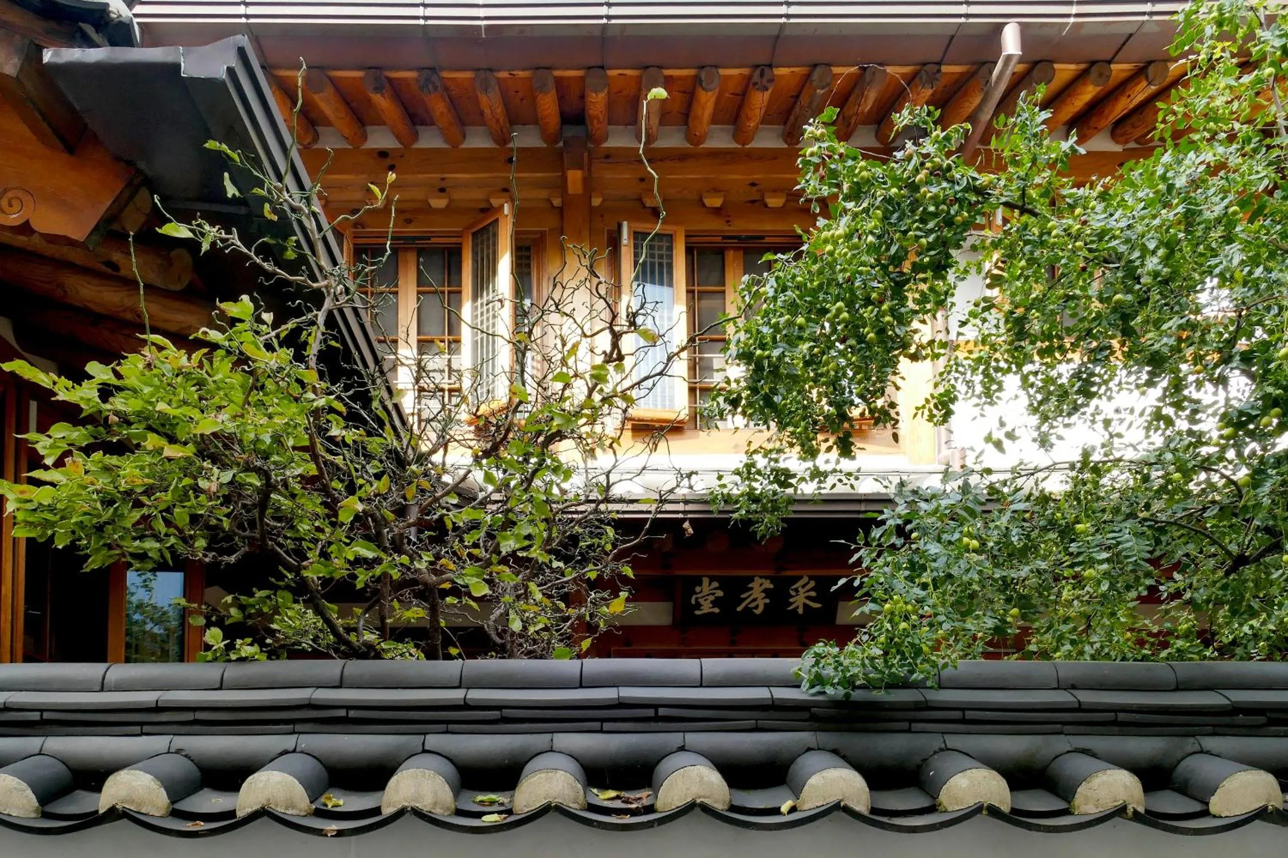 Chaehyodang Hanok Stay