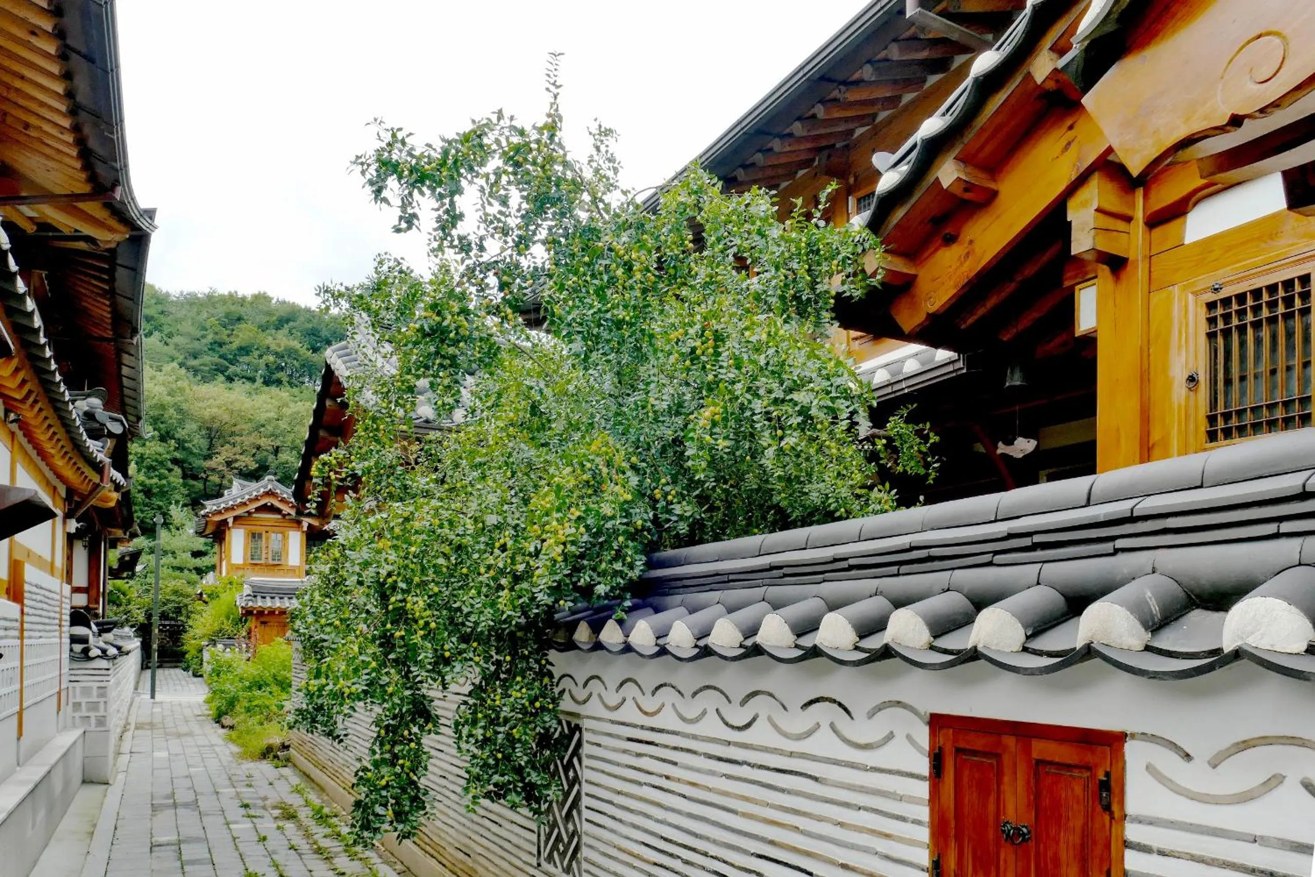 Chaehyodang Hanok Stay