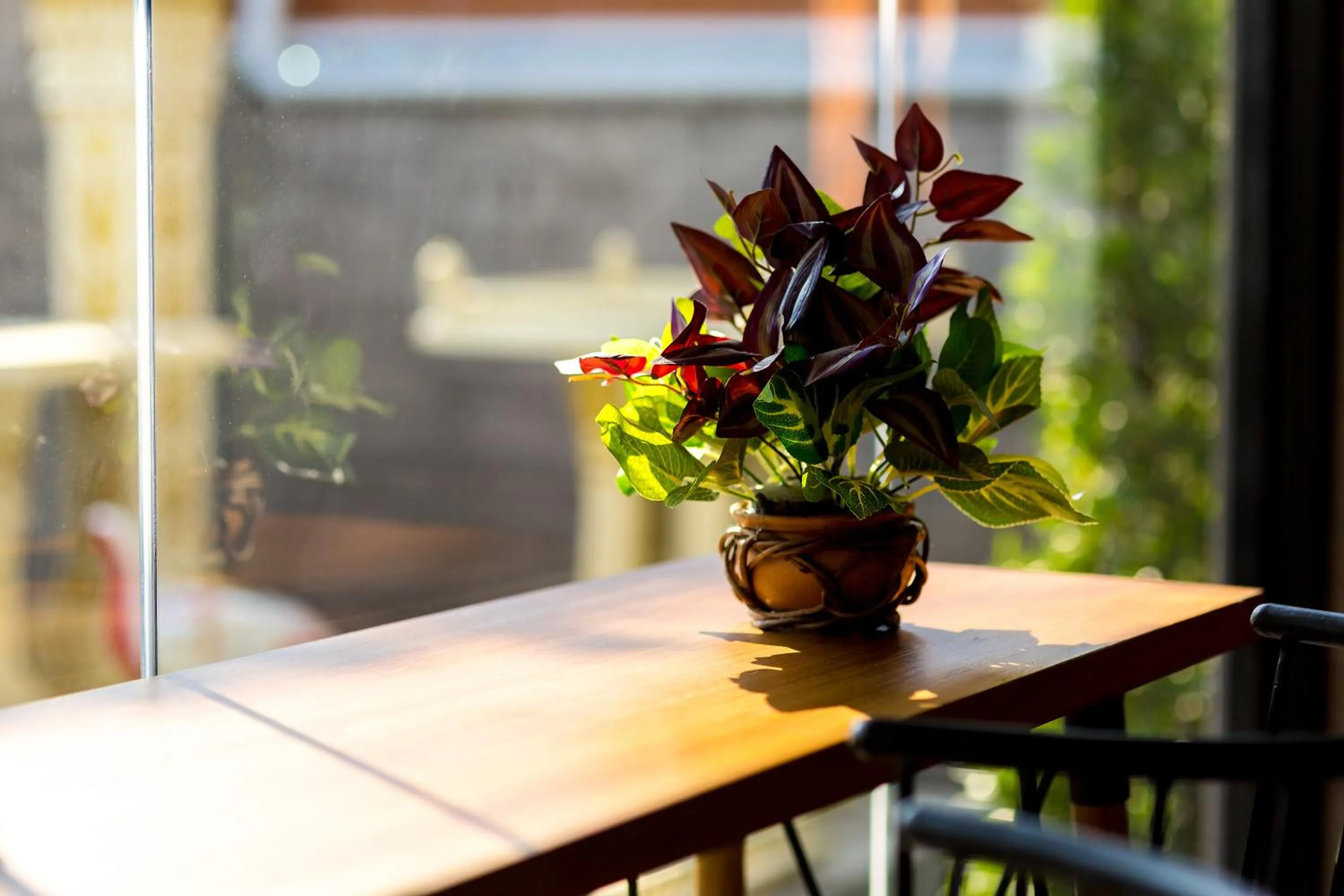 Day in Suthep Home & Hostel