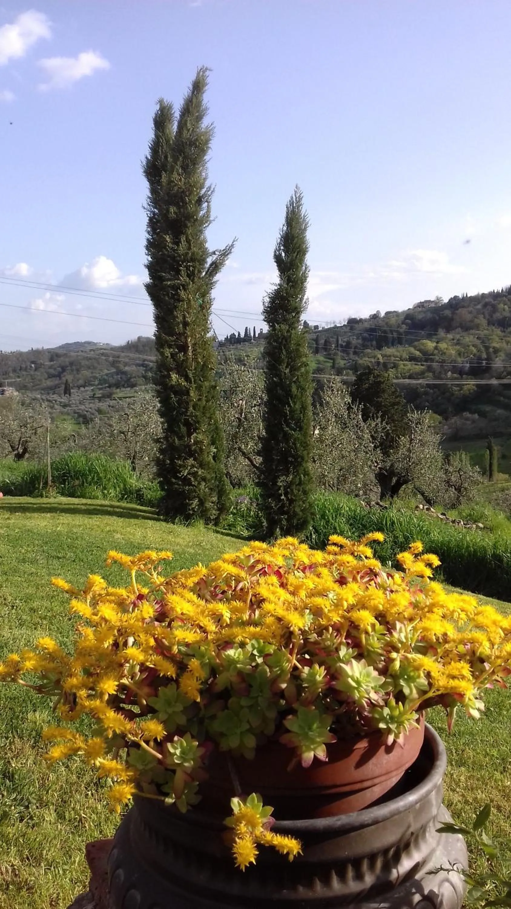 Garden view in podere Sanlorenzo