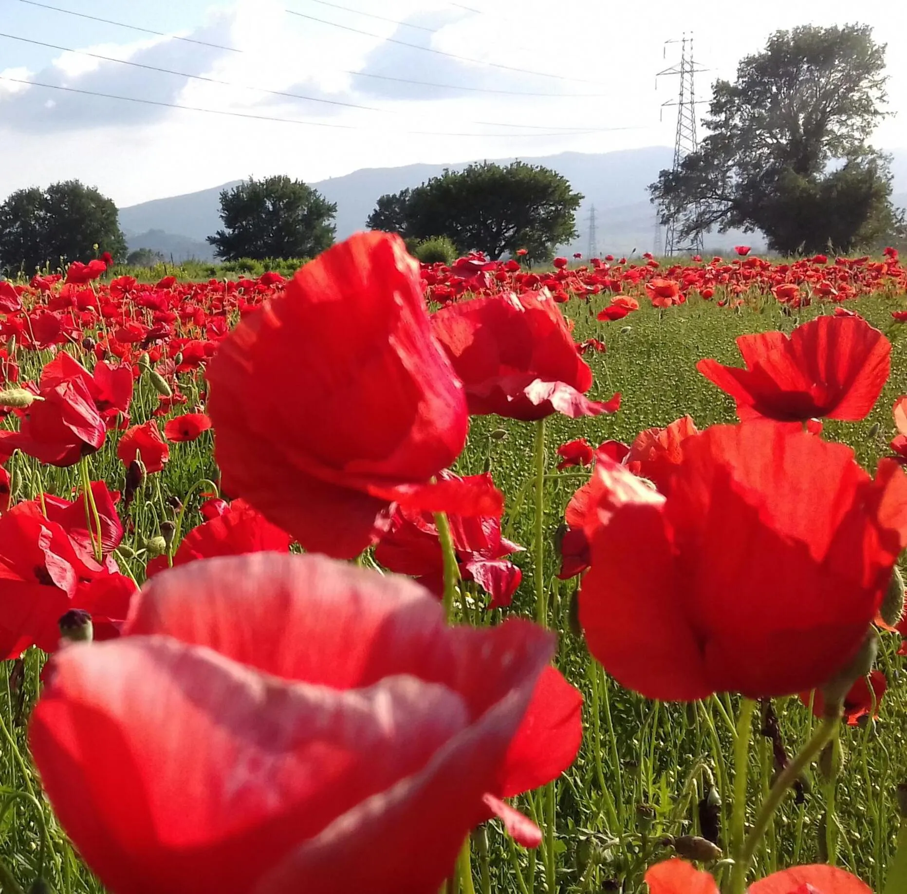 Landmark view in podere Sanlorenzo