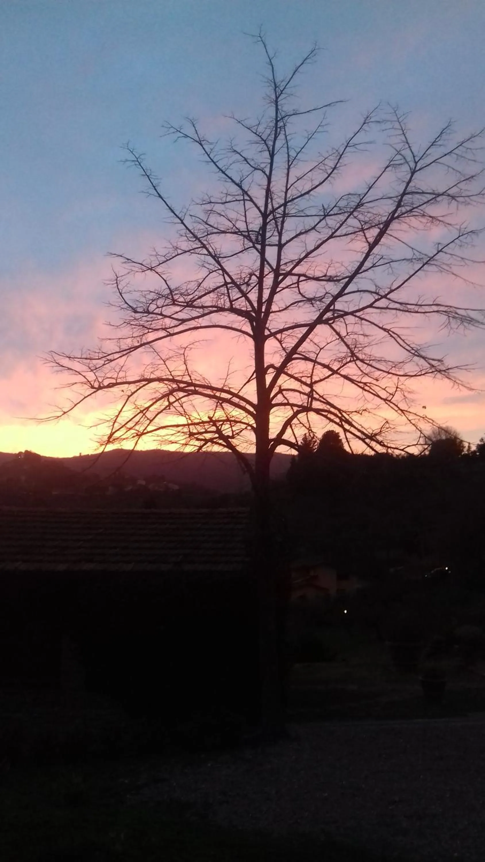 Garden view in podere Sanlorenzo