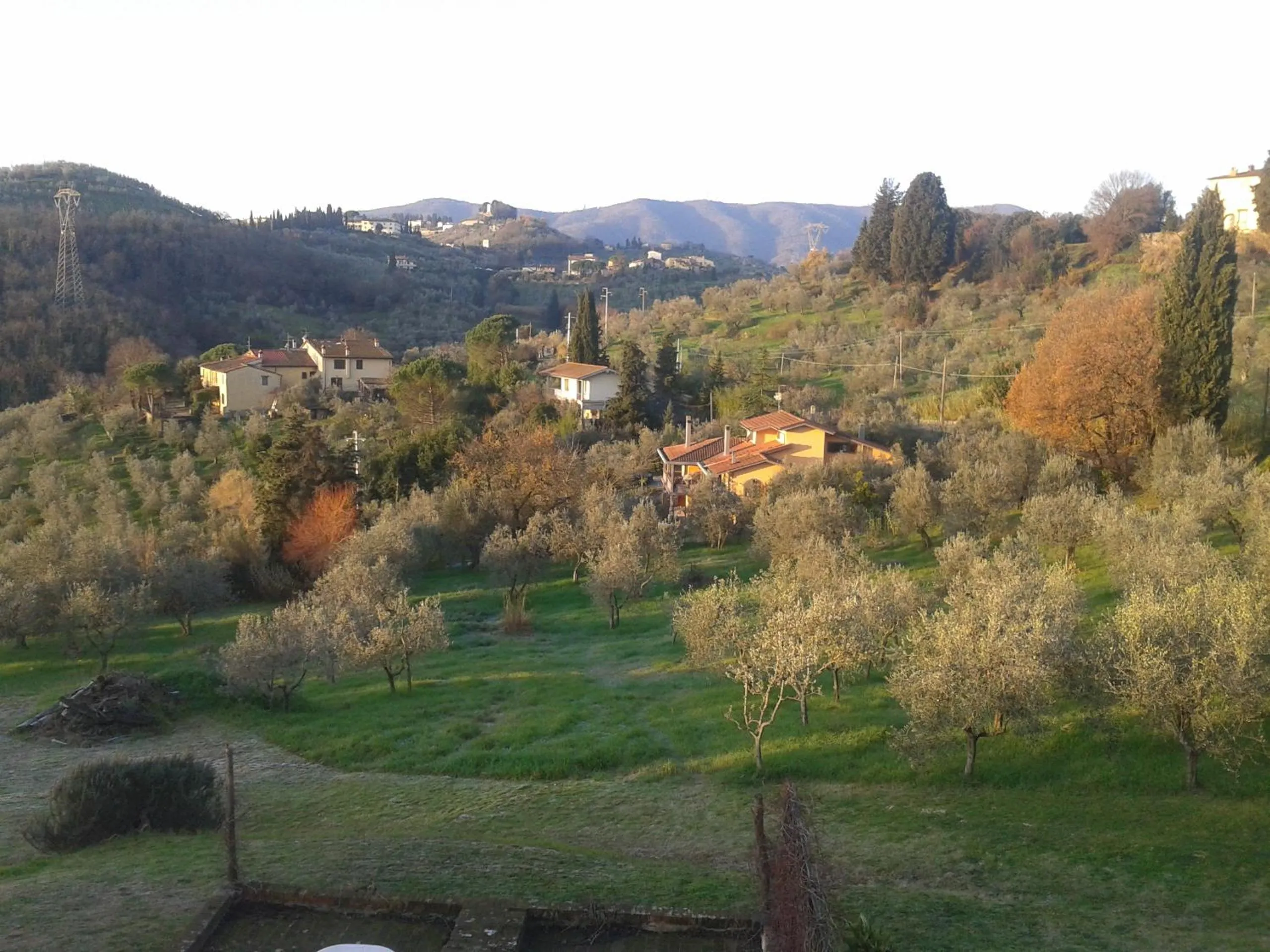 Garden view in podere Sanlorenzo