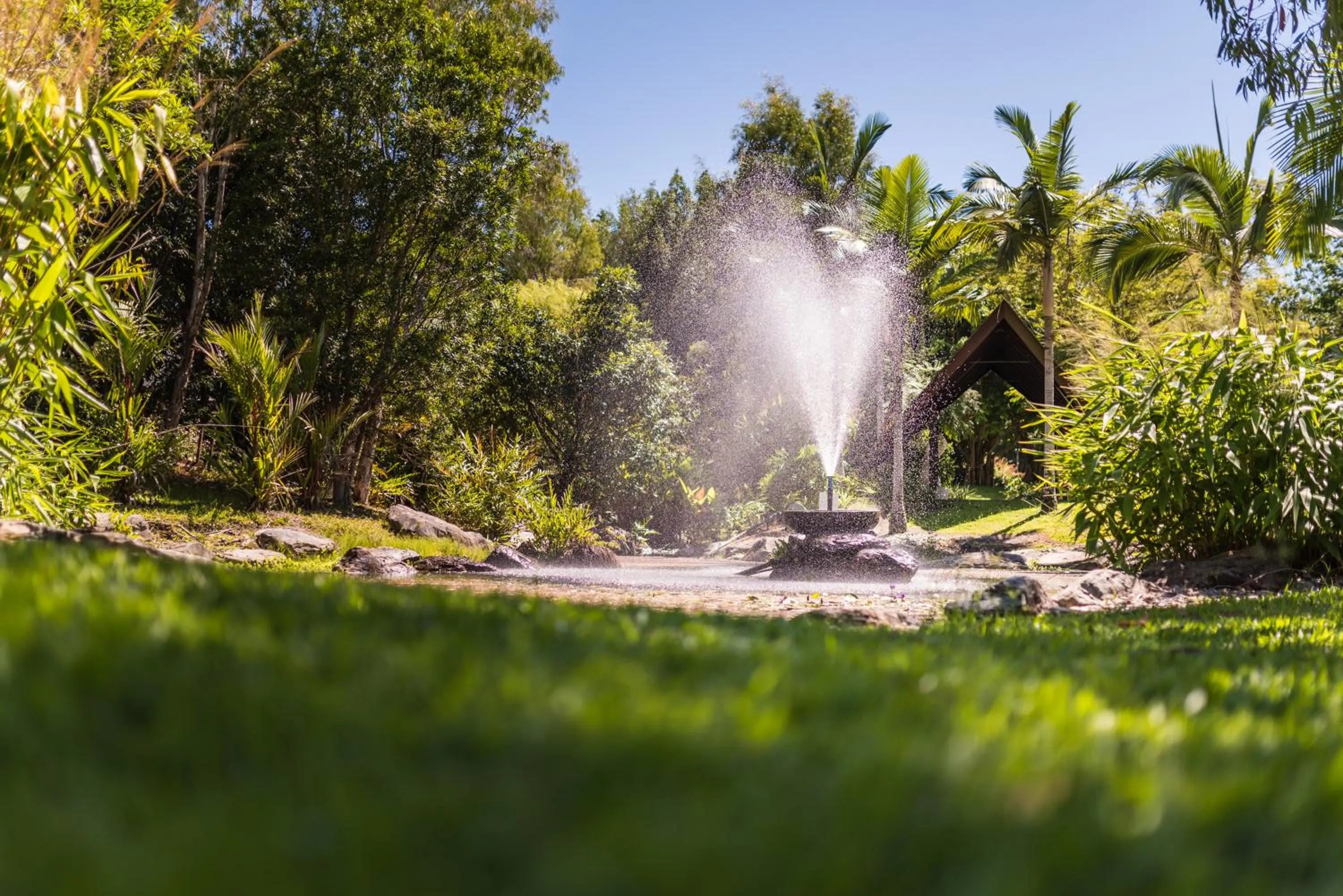 Garden in Niramaya Villas and Spa