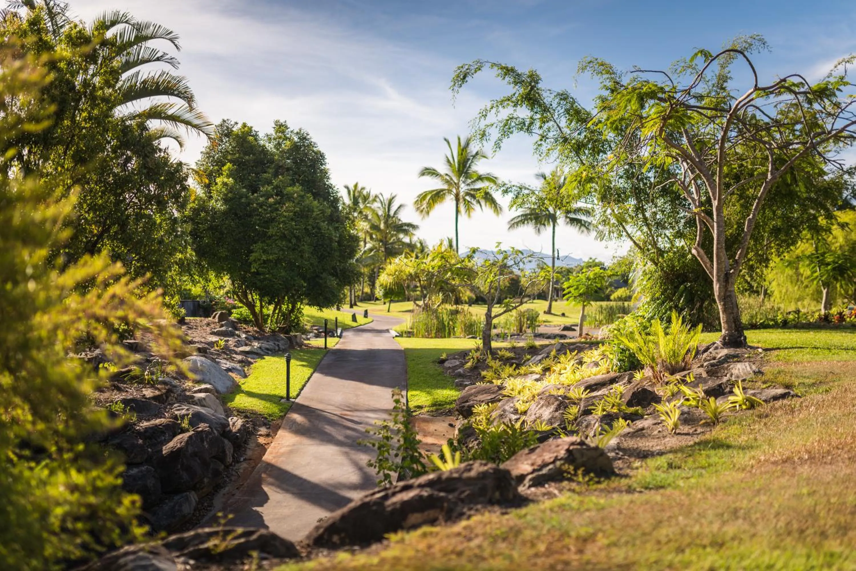 Garden in Niramaya Villas and Spa