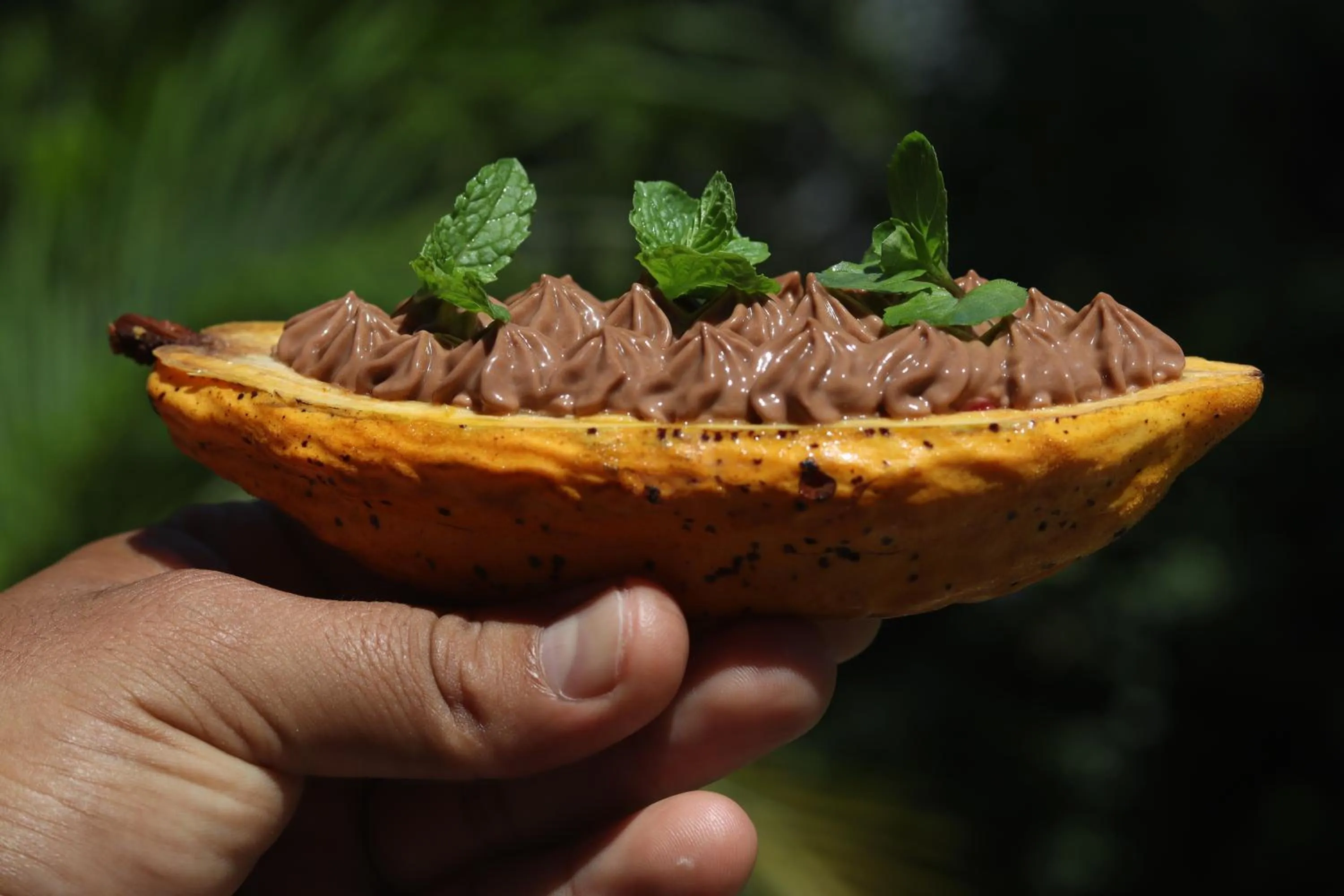 Food and drinks in Enai