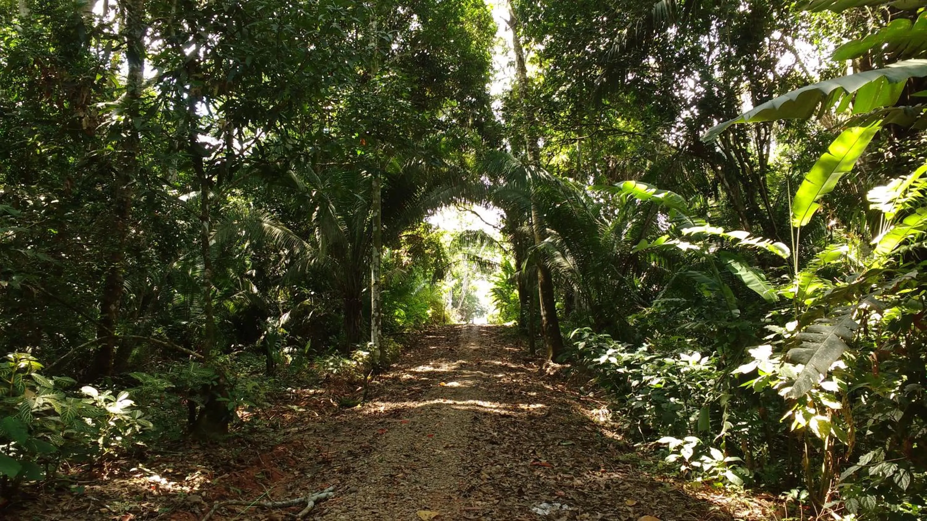 Natural landscape in Enai