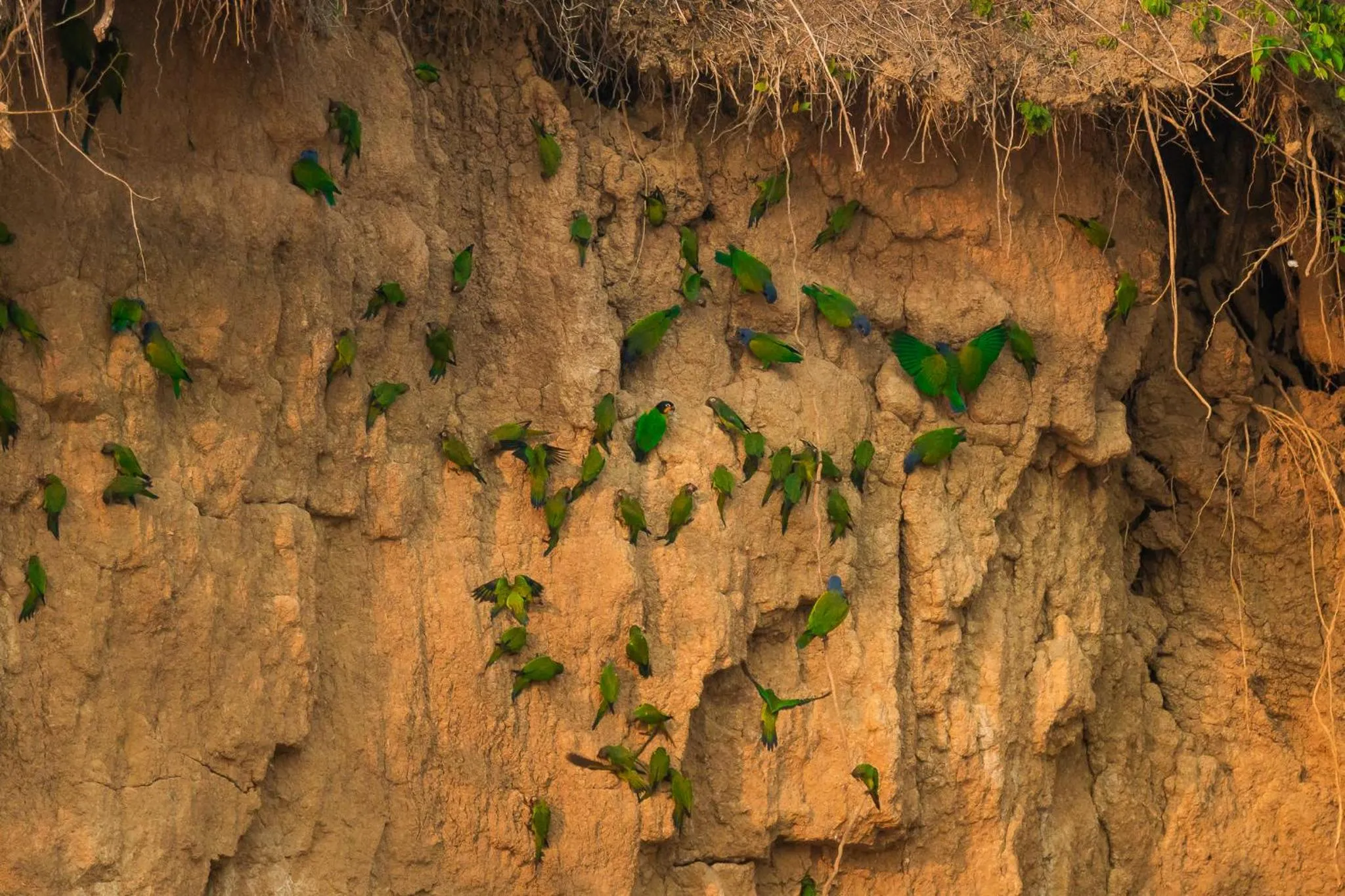 Natural landscape in Enai