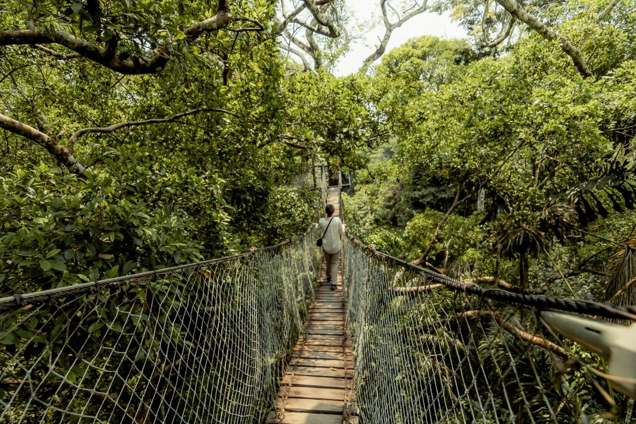 Natural landscape in Enai