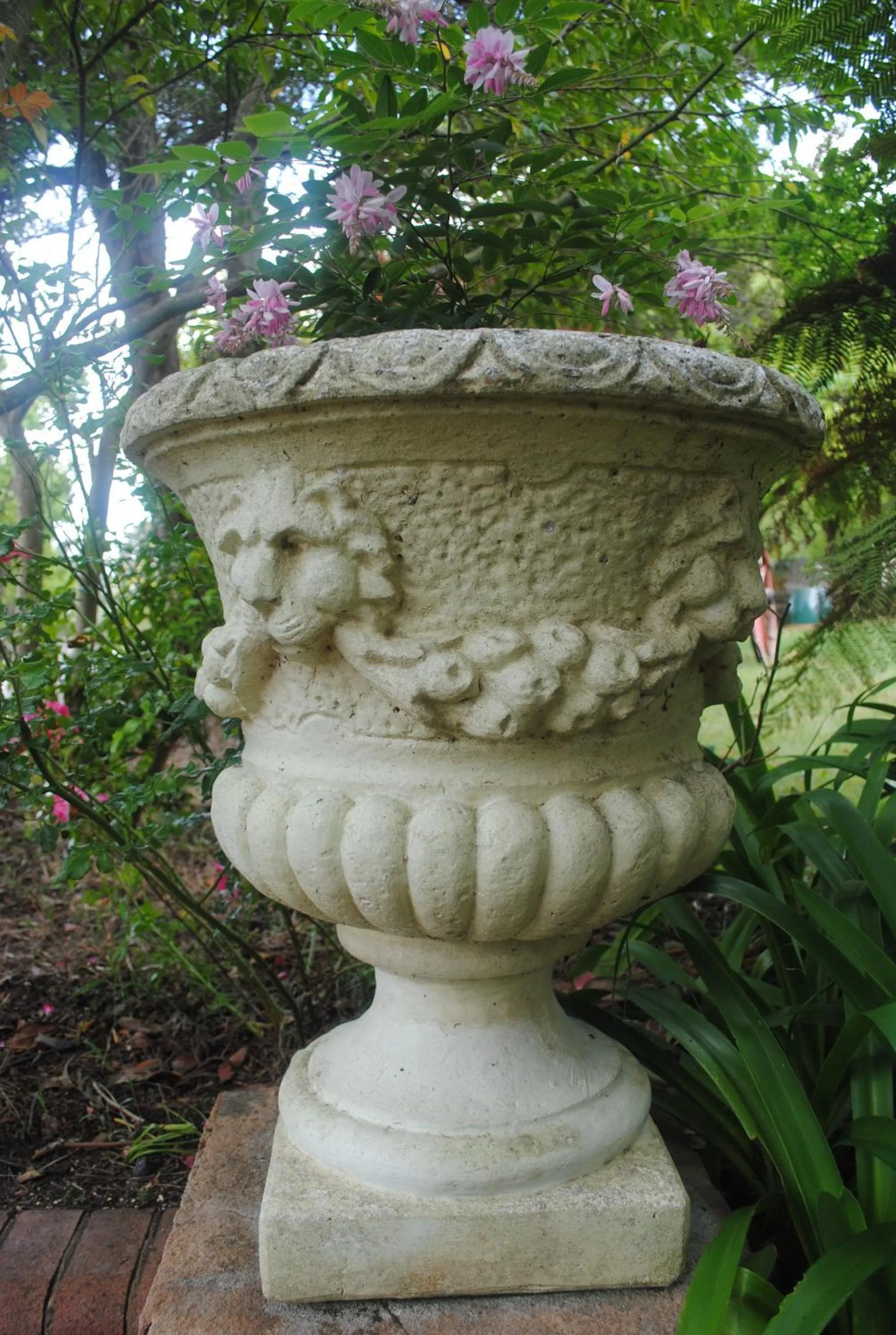 Garden in Kurrara Historic Guest House