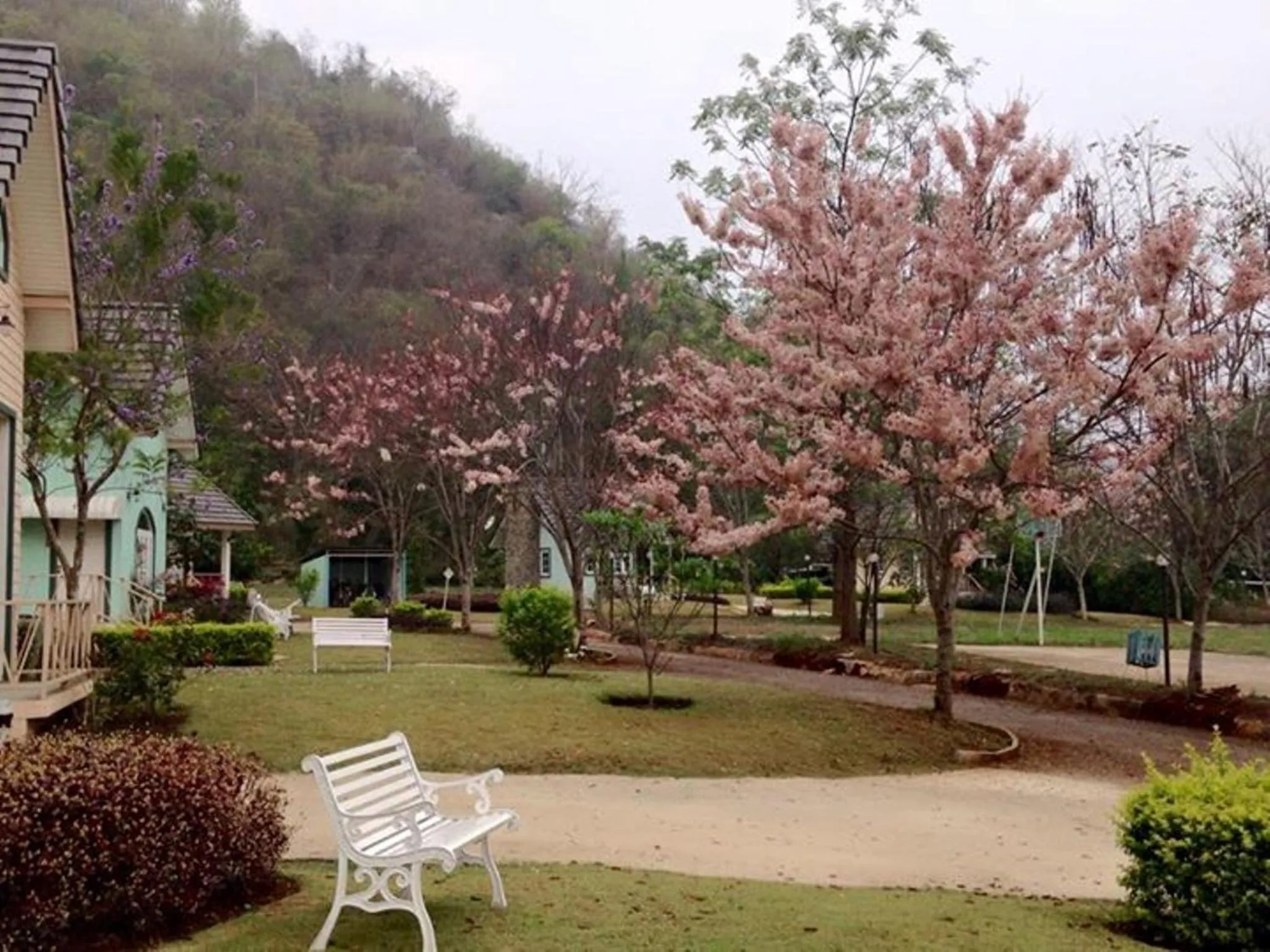 Day in Cottages @ Hill Resort