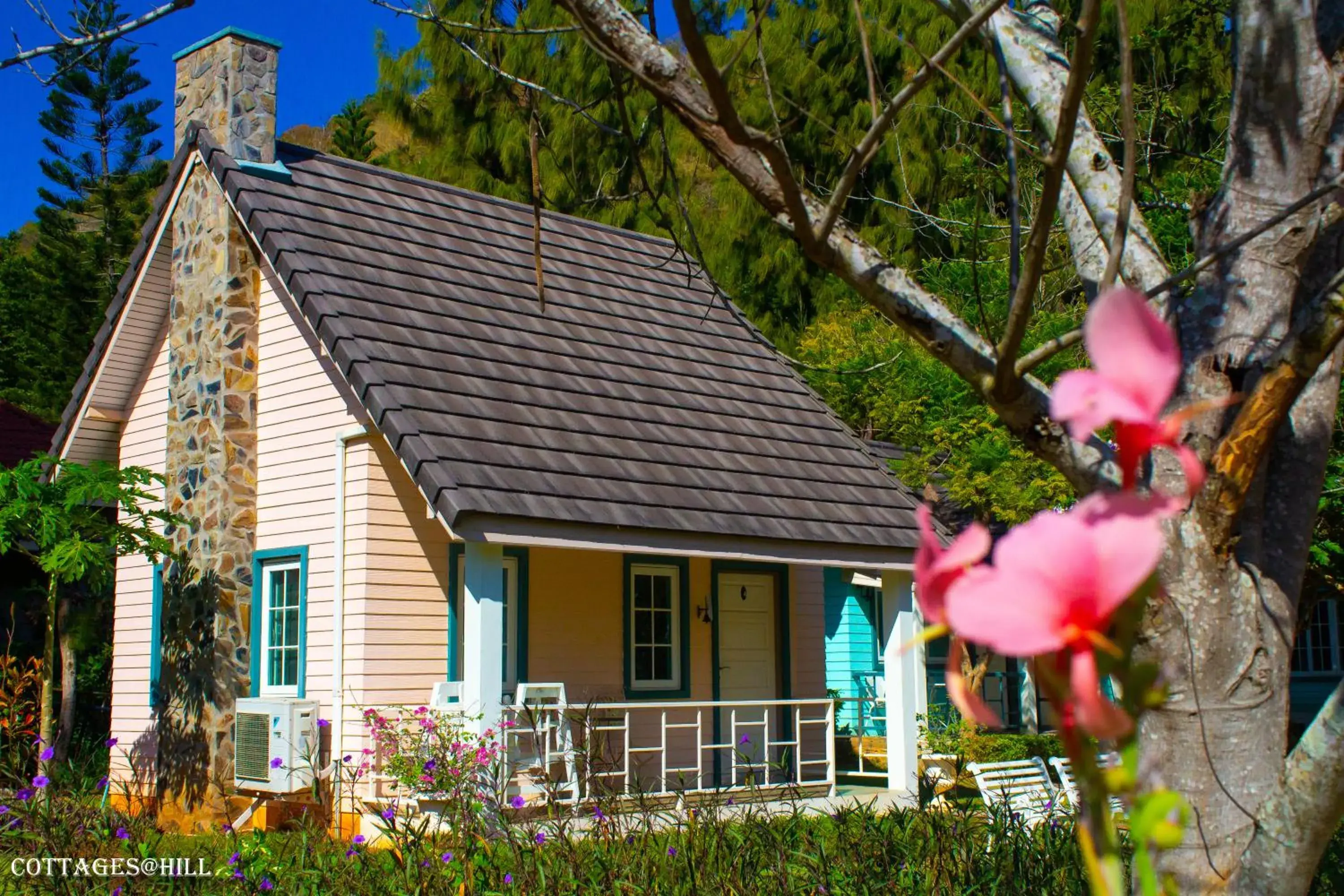 Family Cottage (4 Adults) in Cottages @ Hill Resort Family Cottage (4 Adults) in Cottages @ Hill Resort