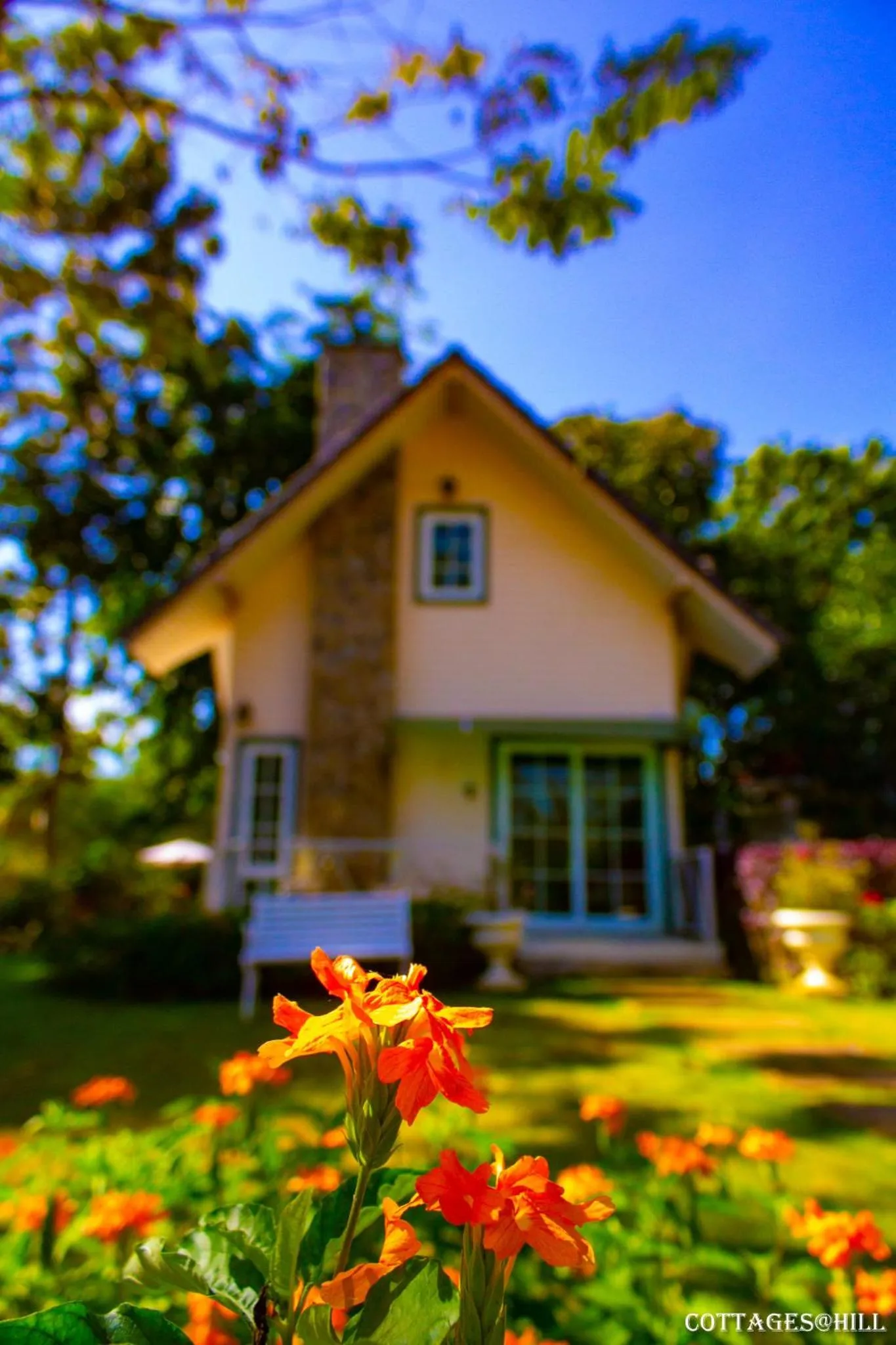 Cottages @ Hill Resort