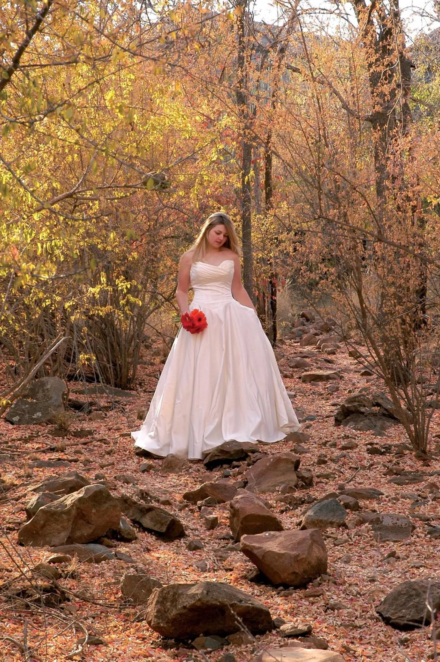 Madikwe Hills Private Game Lodge