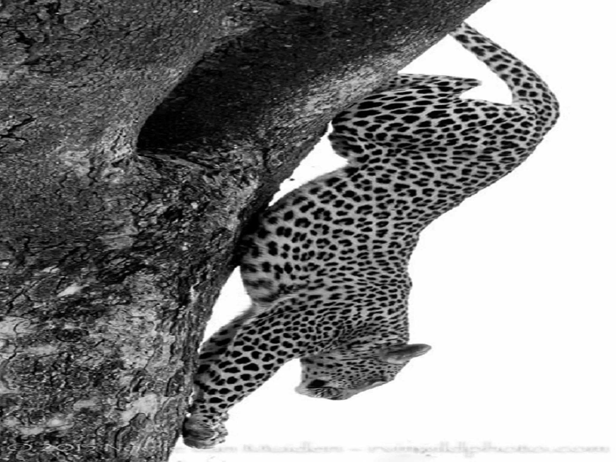 Activities in Madikwe Hills Private Game Lodge