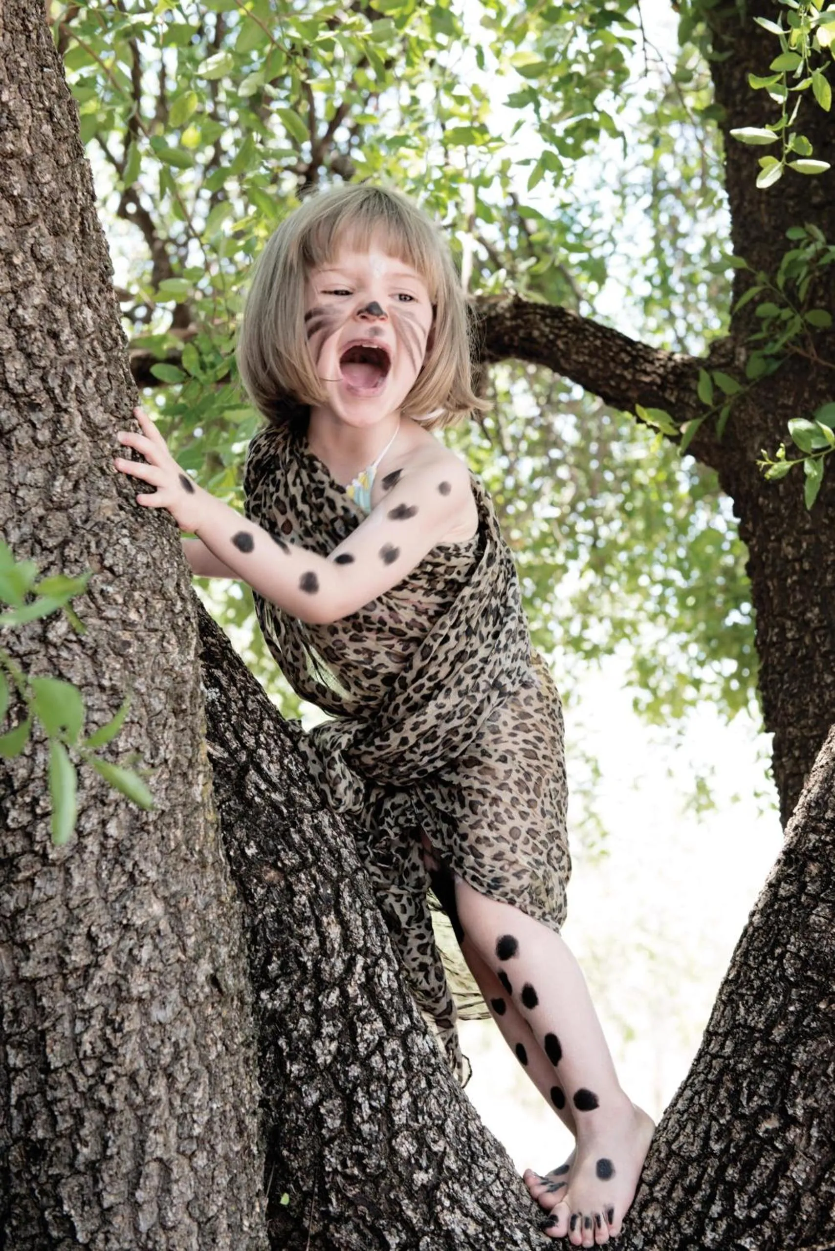 Madikwe Hills Private Game Lodge