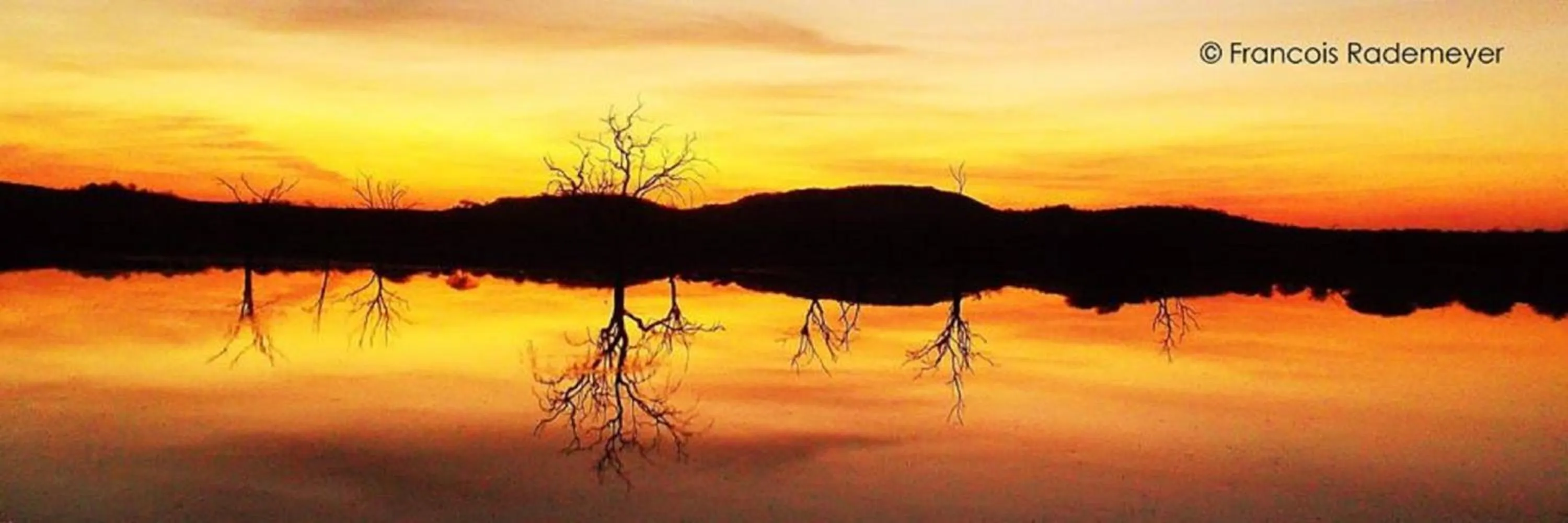 On site in Madikwe Hills Private Game Lodge