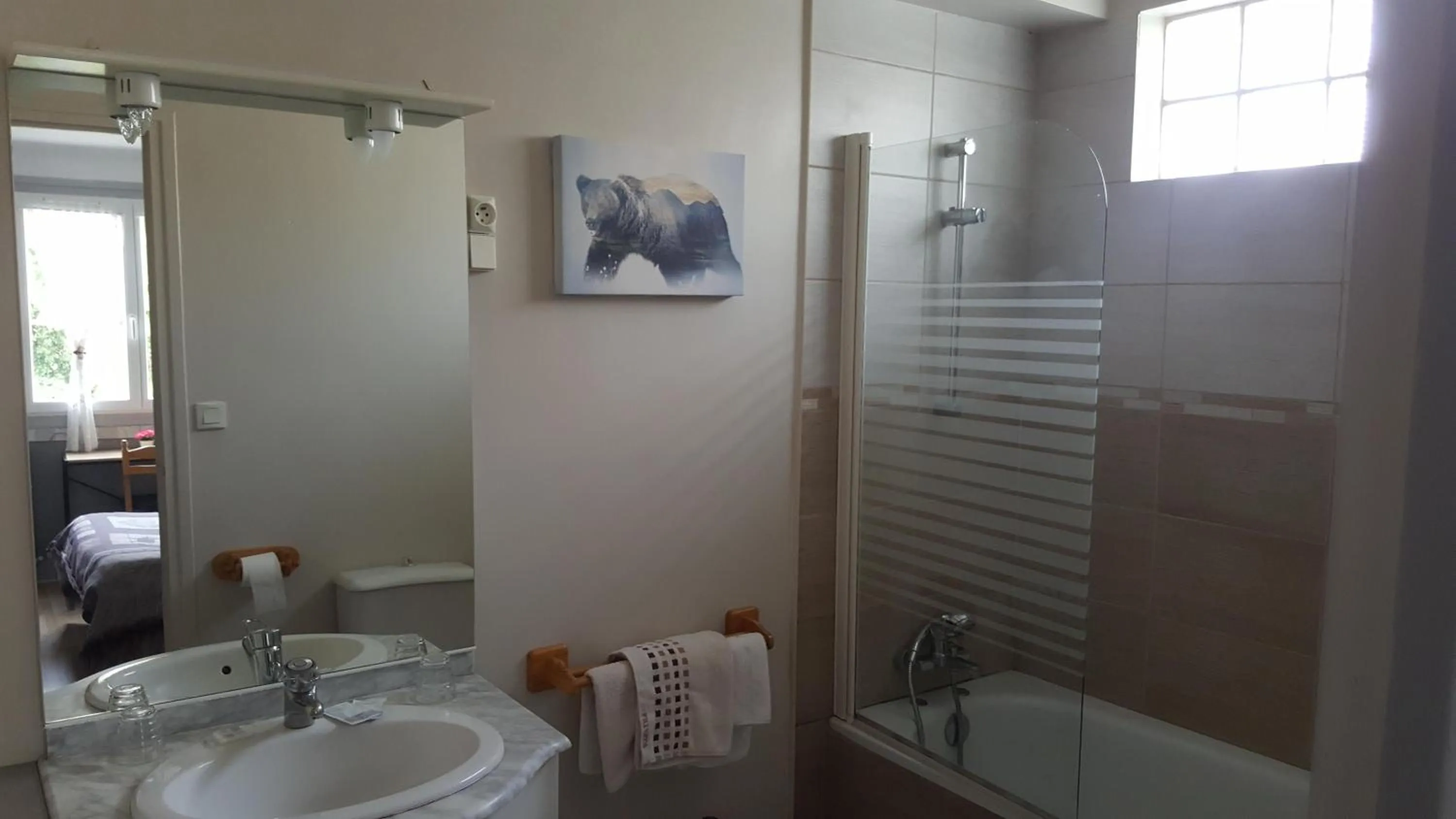 Toilet in Hôtel les Deux Cols