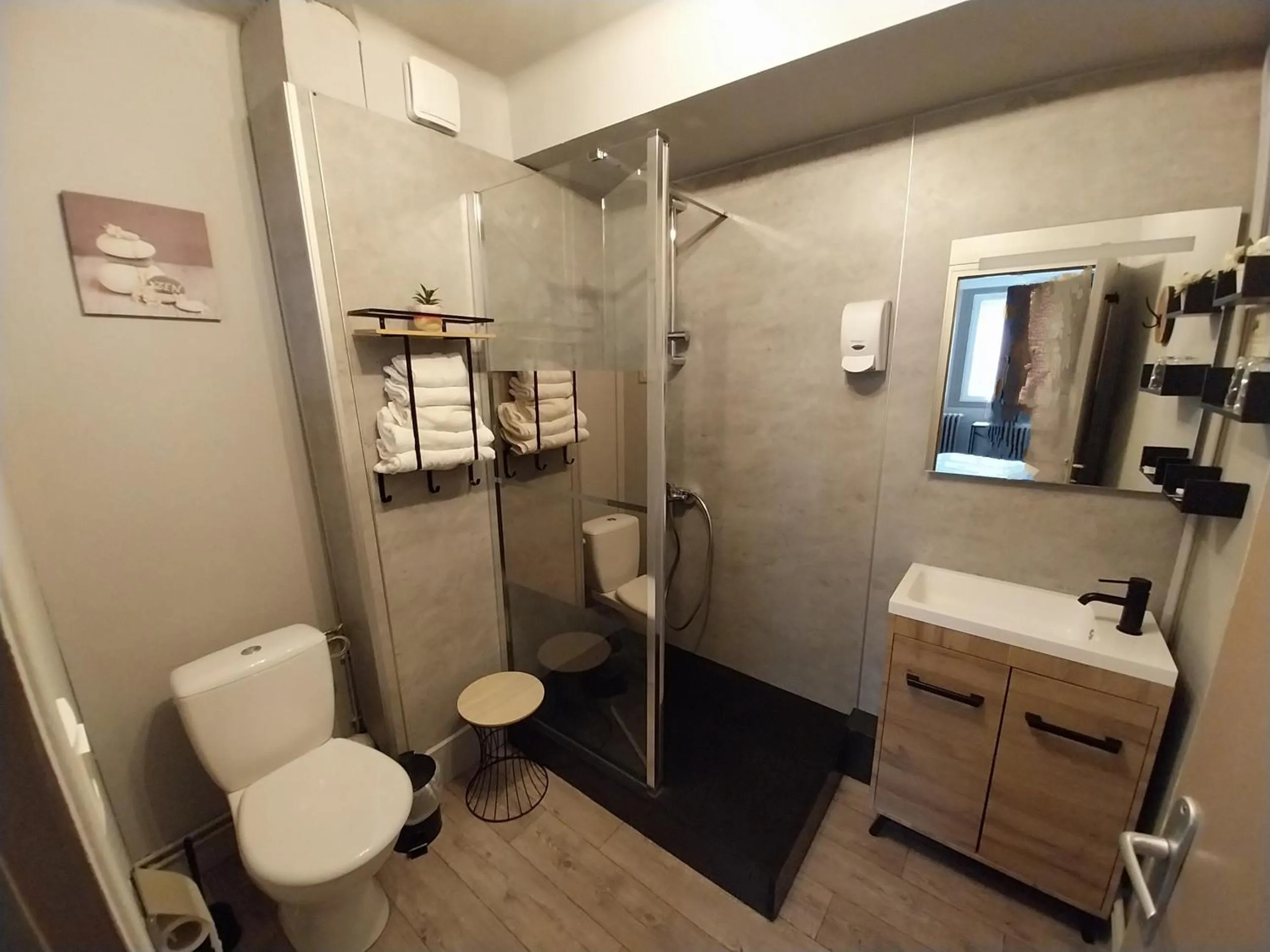 Toilet in Hôtel les Deux Cols