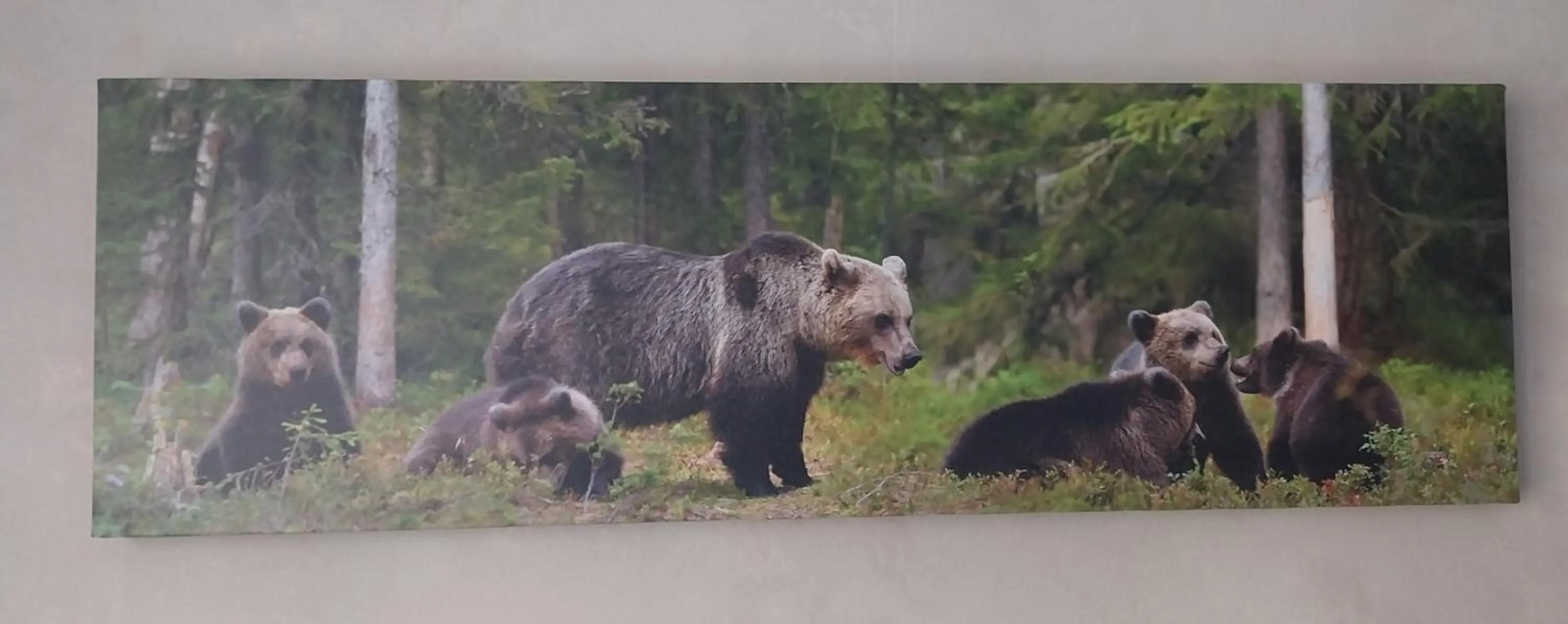Decorative detail in Hôtel les Deux Cols