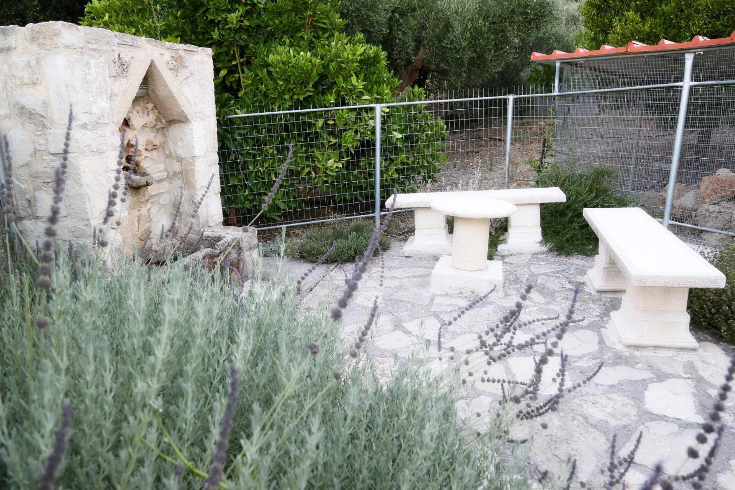 Animals in Villa Daskalogianni