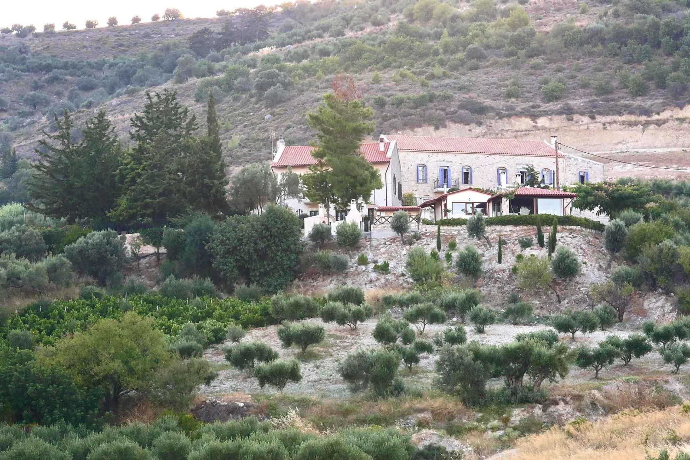 Restaurant/places to eat in Villa Daskalogianni