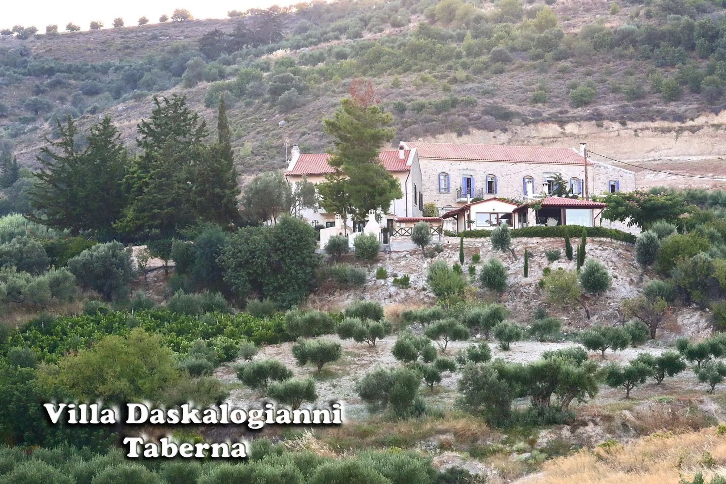 Restaurant/places to eat in Villa Daskalogianni