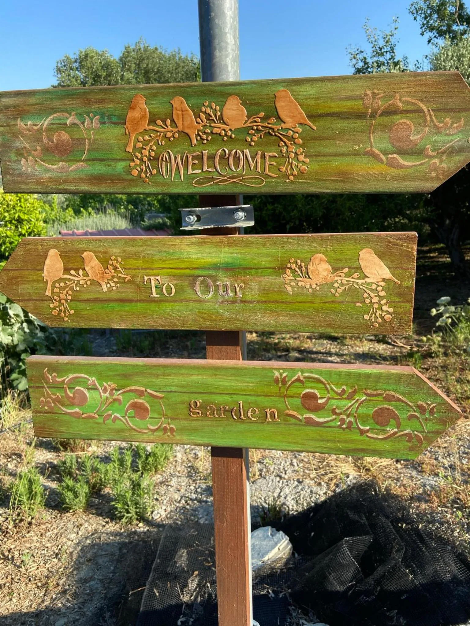 Garden in Villa Daskalogianni