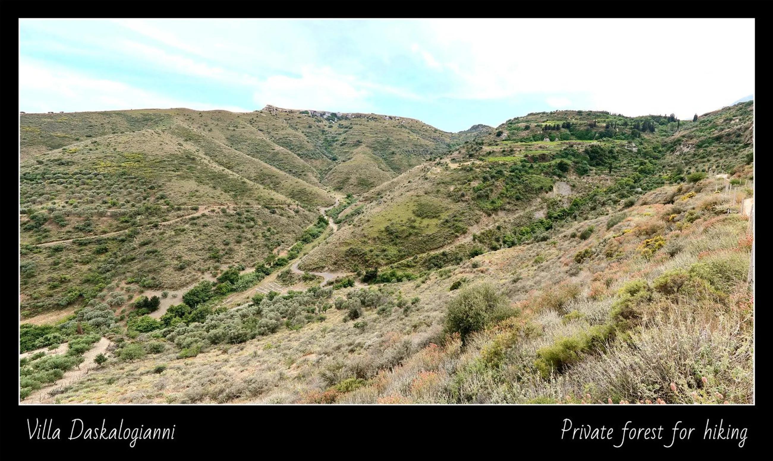 Natural landscape in Villa Daskalogianni