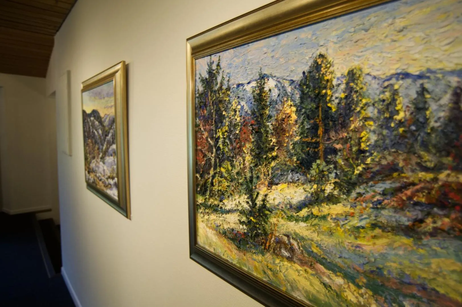 Area and facilities in Morgedal Hotel Spa & Resort - Unike Hoteller