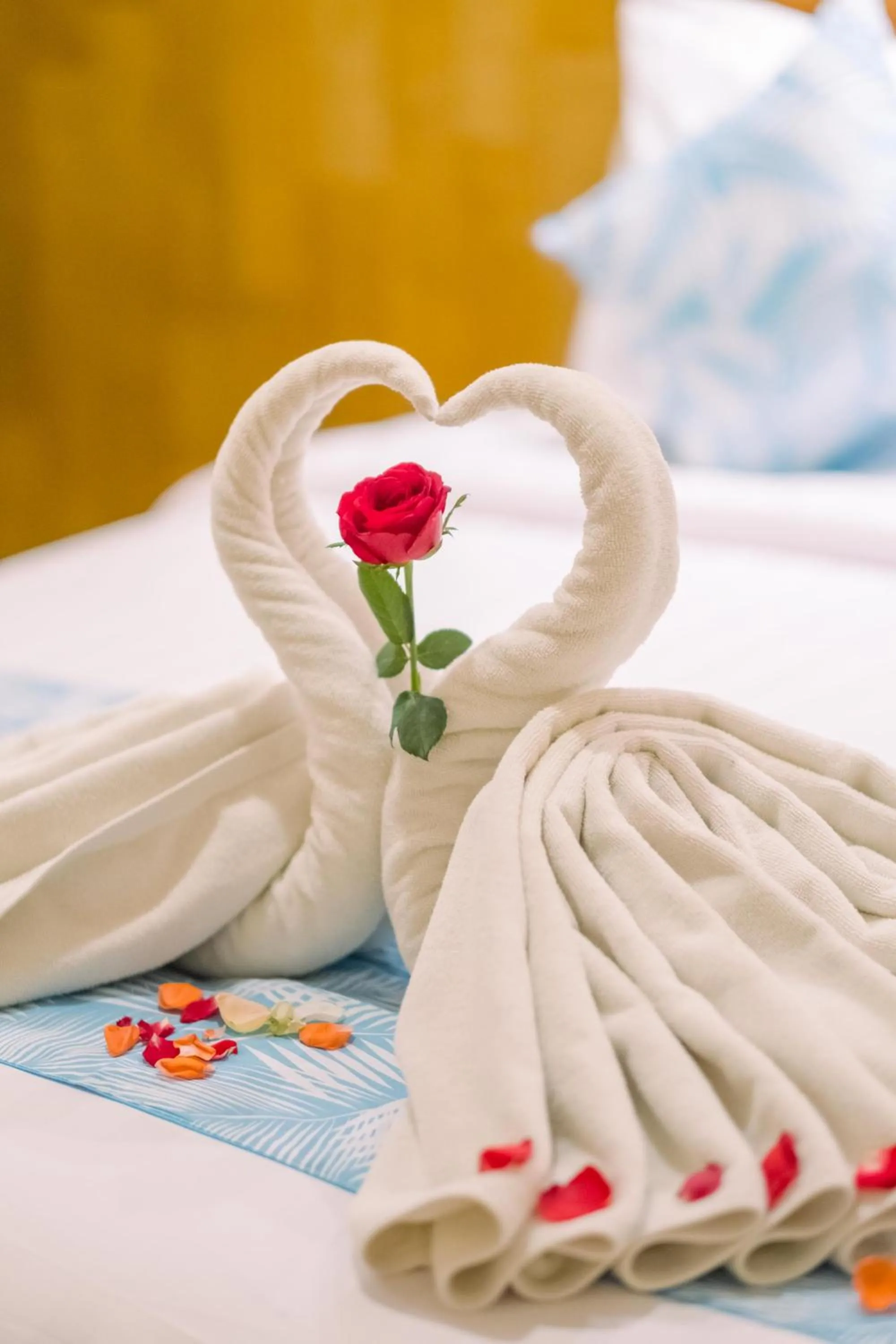 Decorative detail, Bed in Caroline Guest House