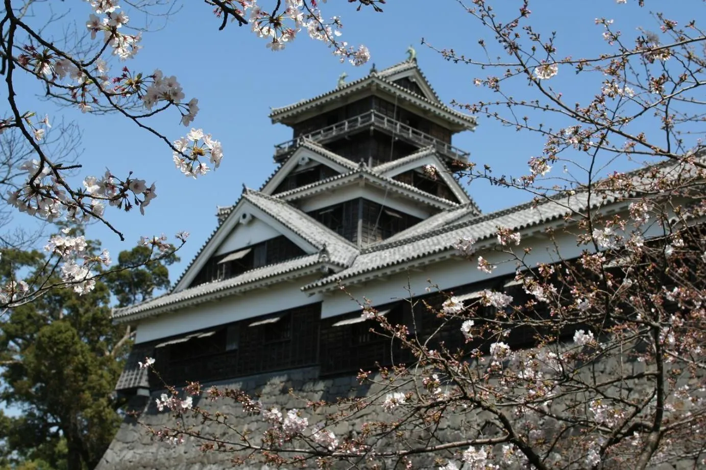 Nearby landmark in &and COMFY HOTEL Kumamoto Jo View