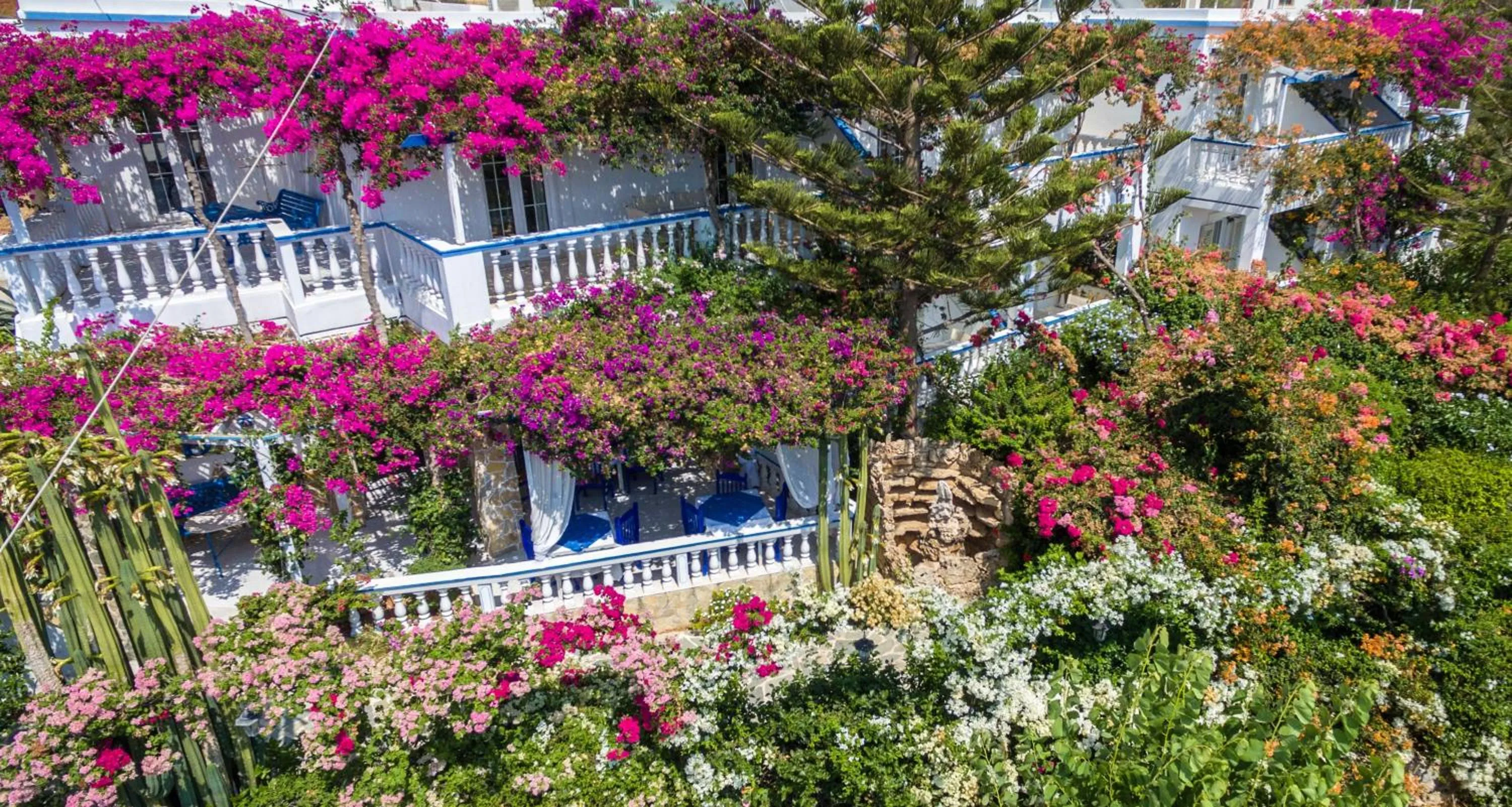 Facade/entrance in Angelika