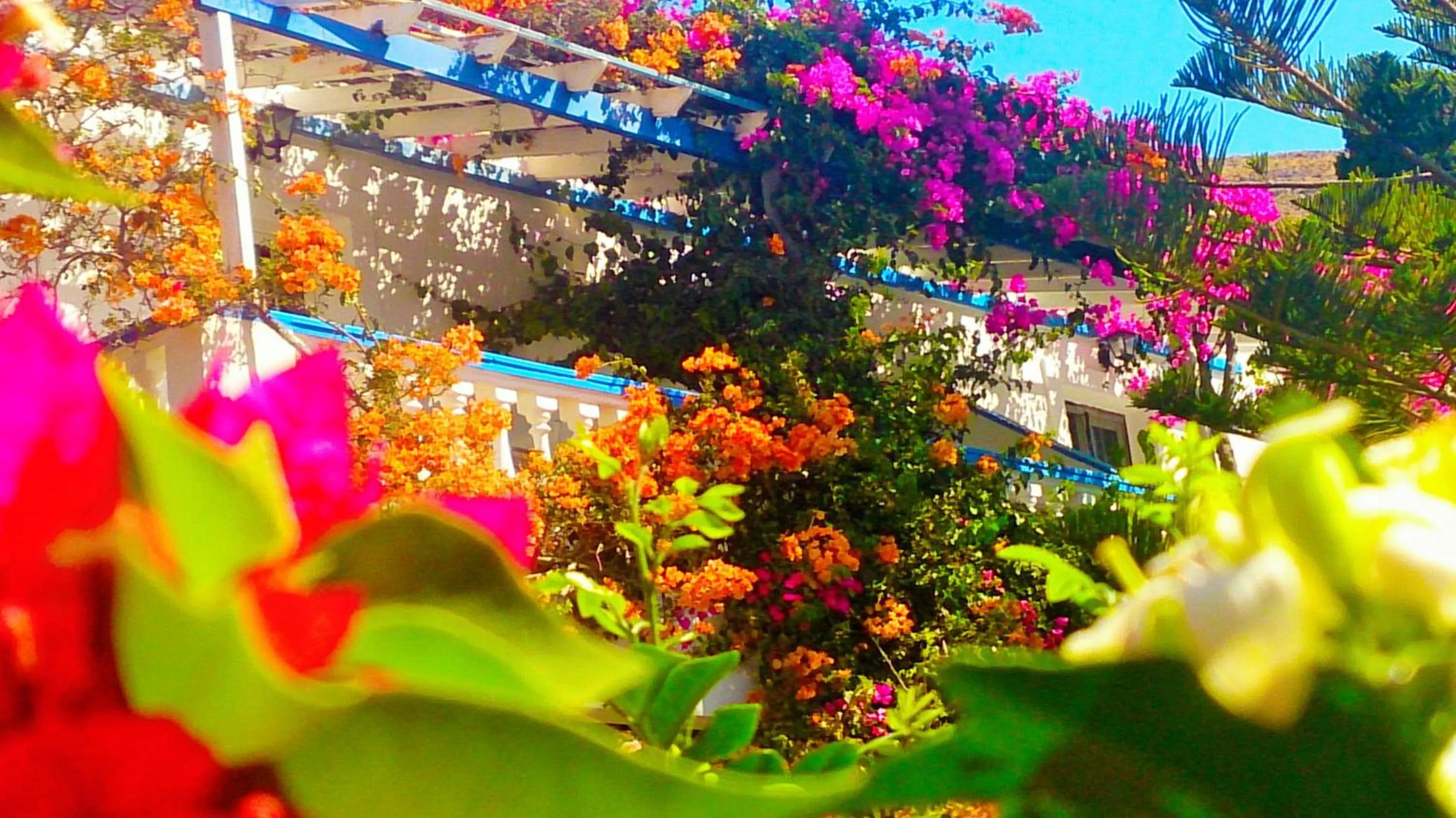 Facade/entrance in Angelika